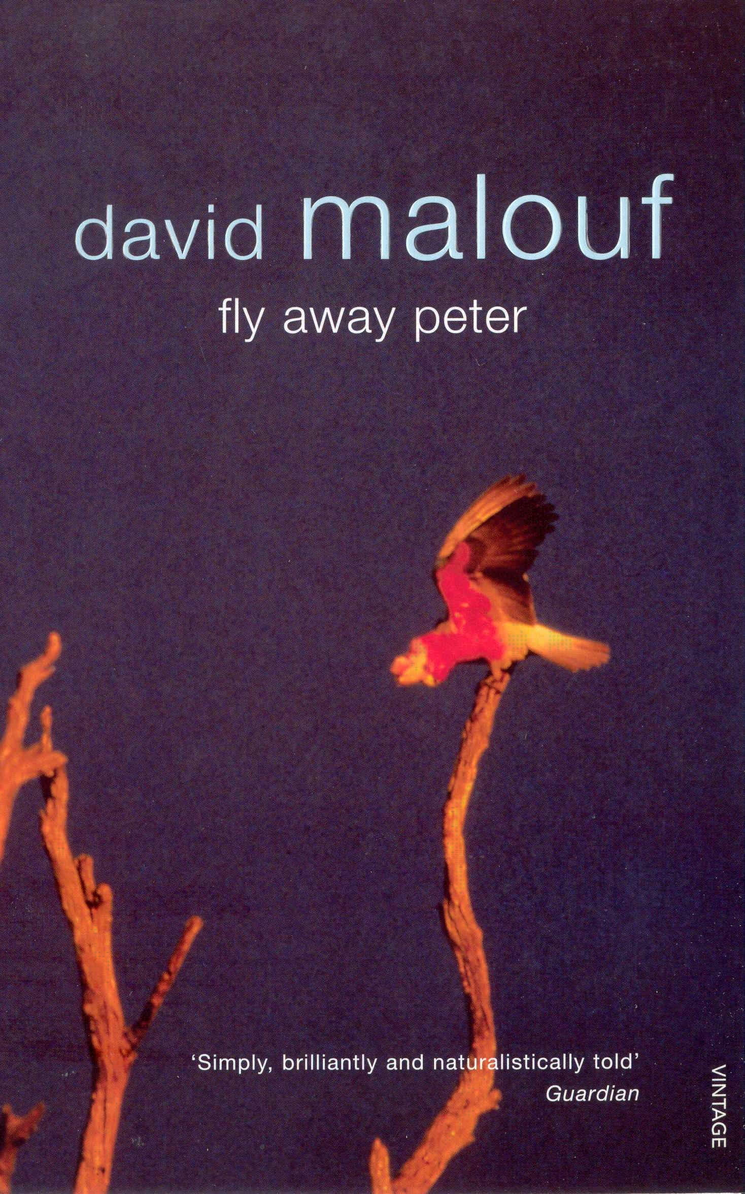 david malouf an imaginary life analysis