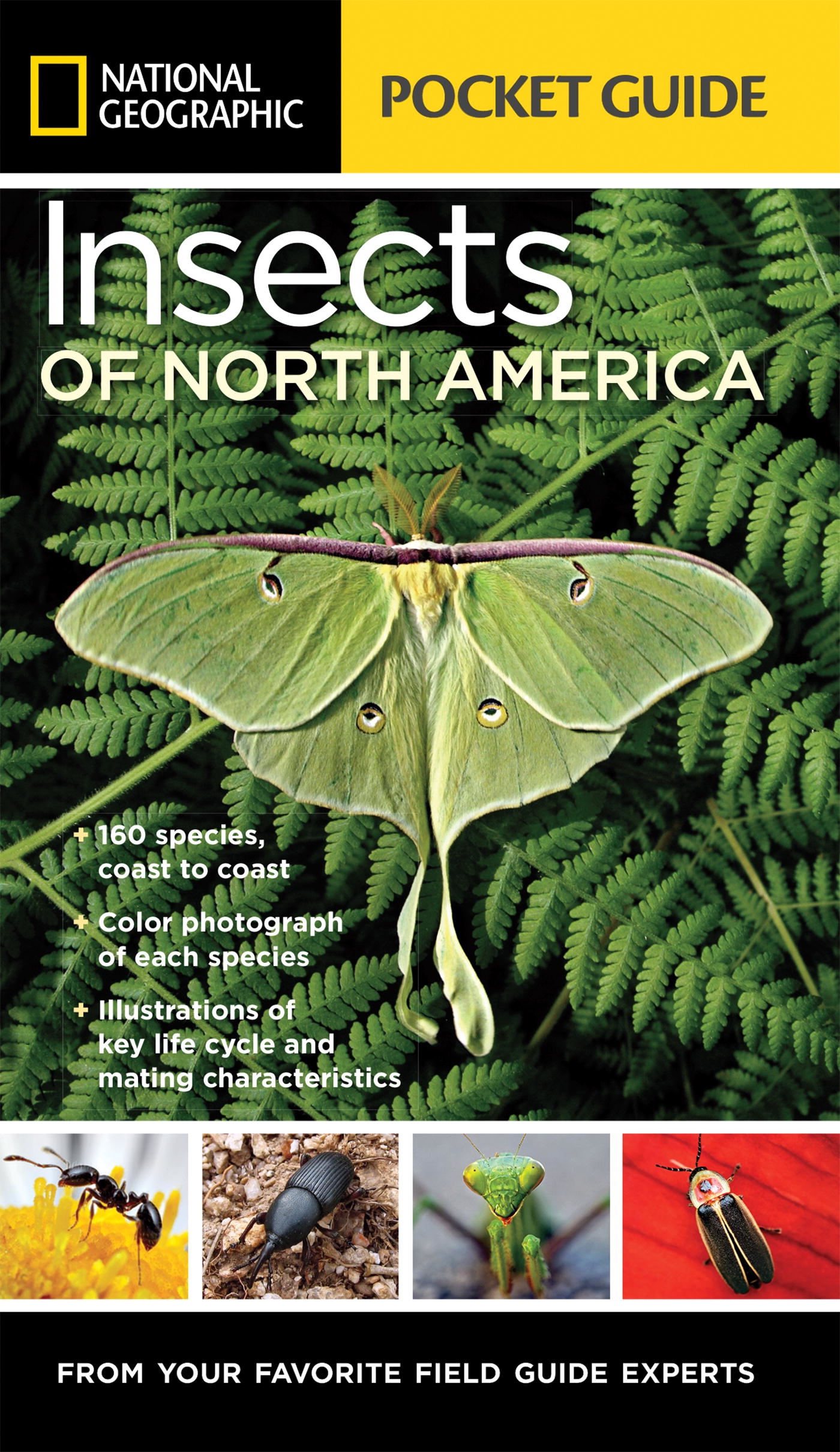 National Geographic Pocket Guide To Insects Of North