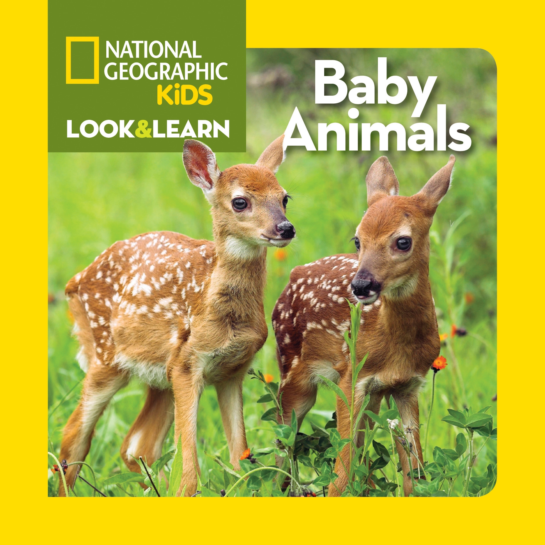 Nat Geo Kids Look And Learn Baby Animals by NATIONAL GEOGRAPHIC KIDS