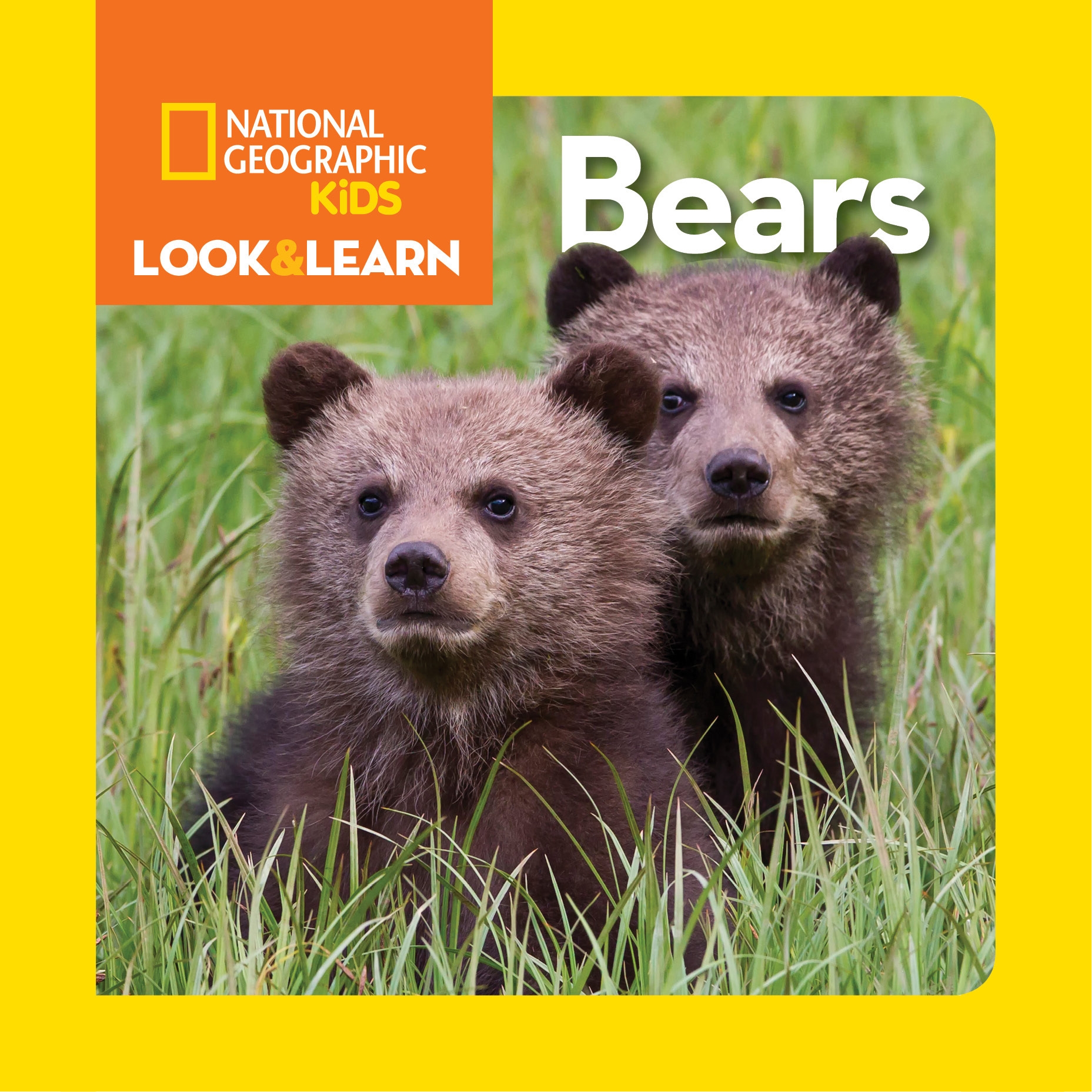 National Geographic Kids Look and Learn: Bears by NATIONAL GEOGRAPHIC ...