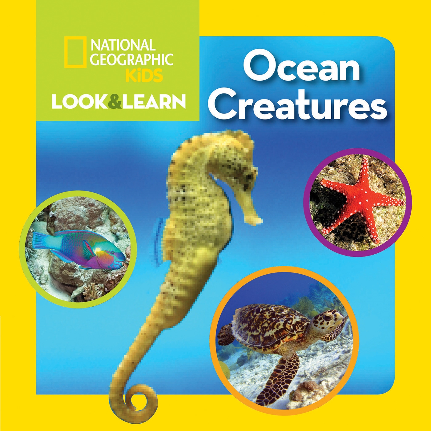 Nat Geo Kids Look And Learn Ocean Creatures by NATIONAL GEOGRAPHIC KIDS