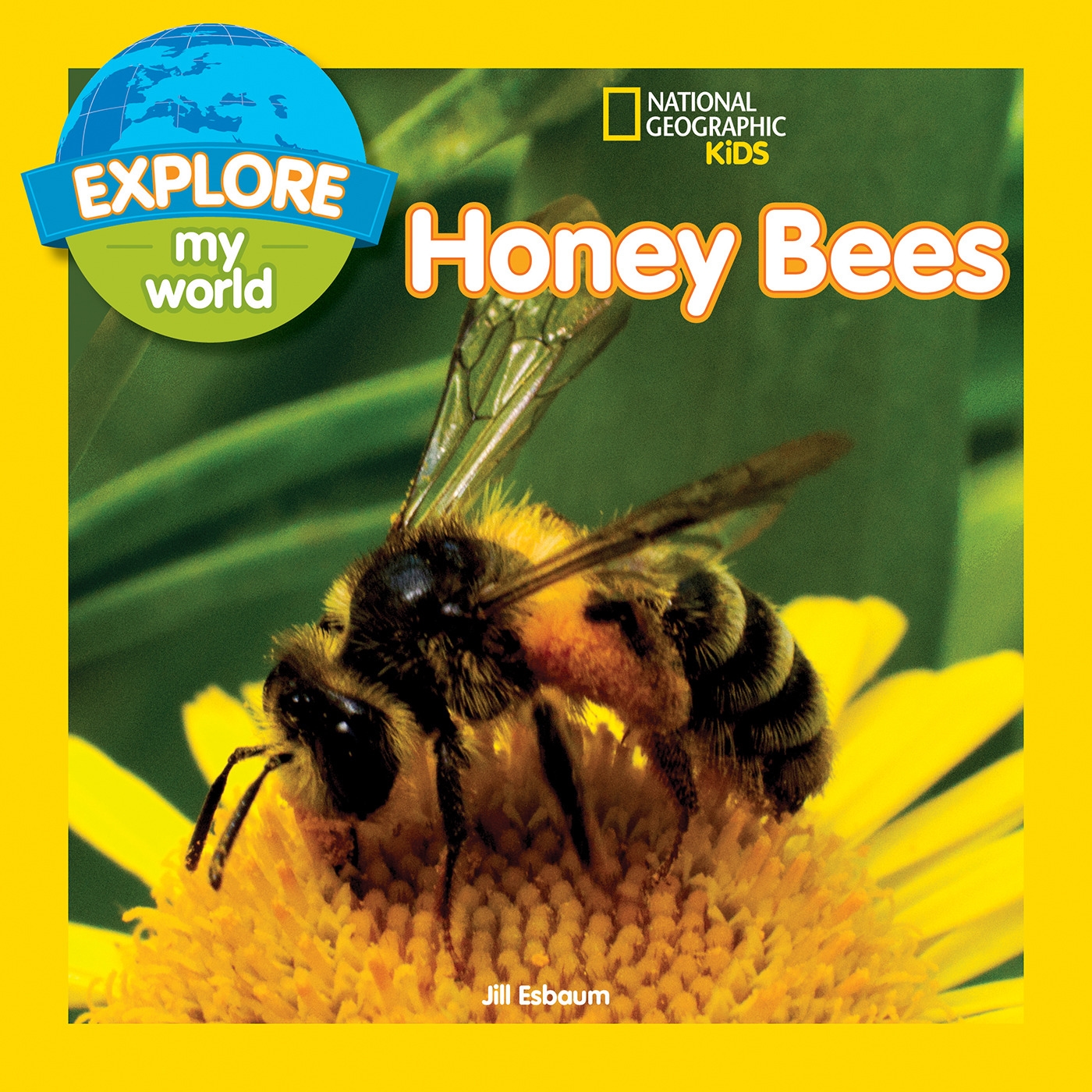 Honey world. Детская книга про пчел. Bees for Kids. Чего хотят пчелы книга.