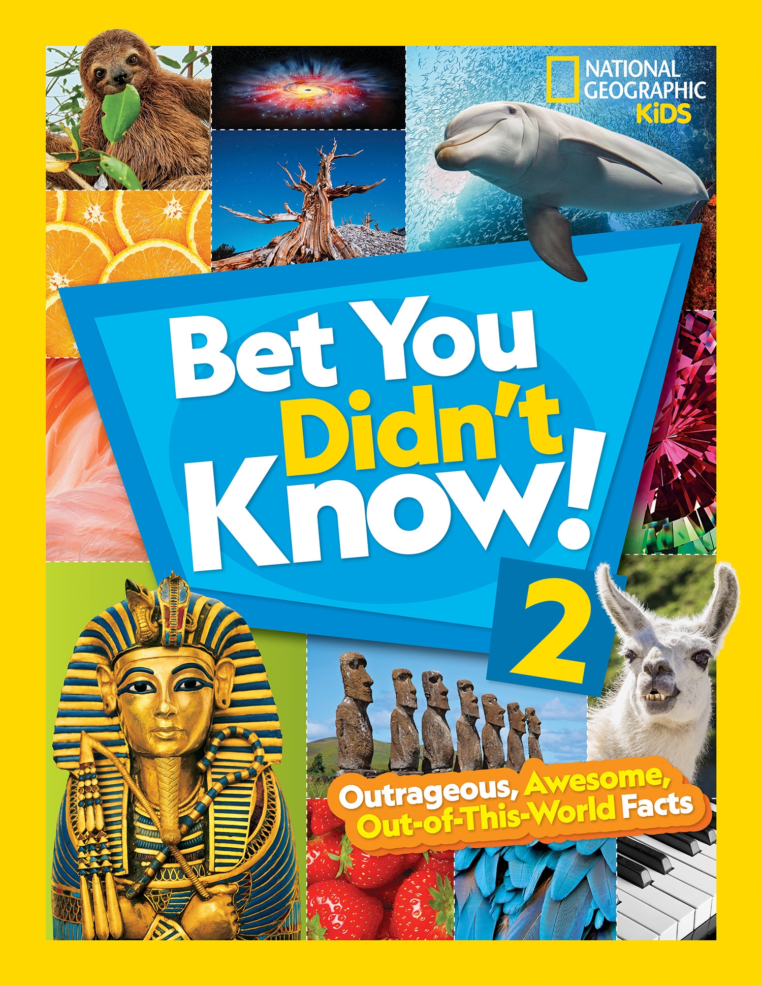 Bet You Didn't Know! 2 By NATIONAL GEOGRAPHIC KIDS - Penguin Books New ...