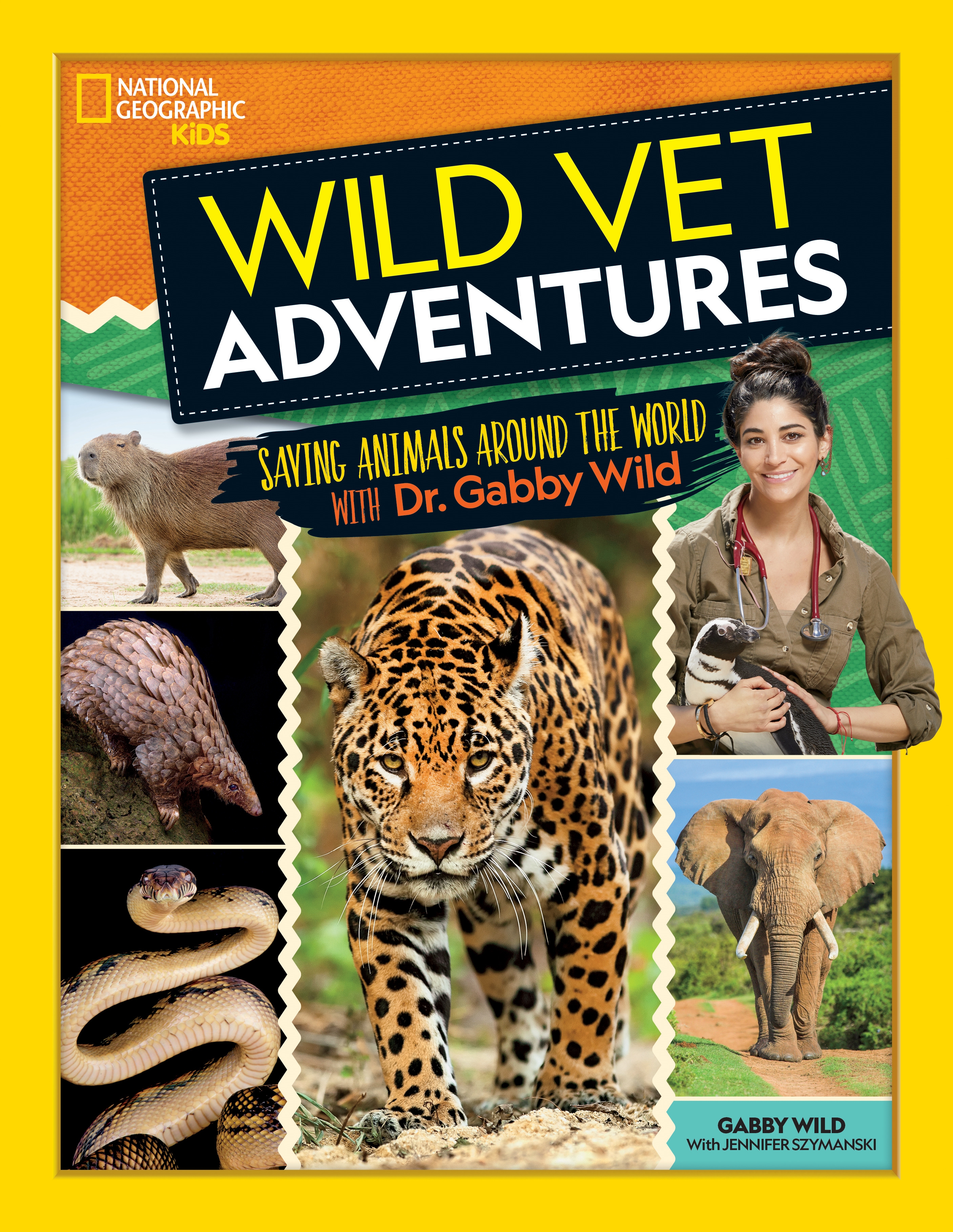 Wildlife Rvt Veterinarians With Wild Animals As A Clinical Veterinarian For The San