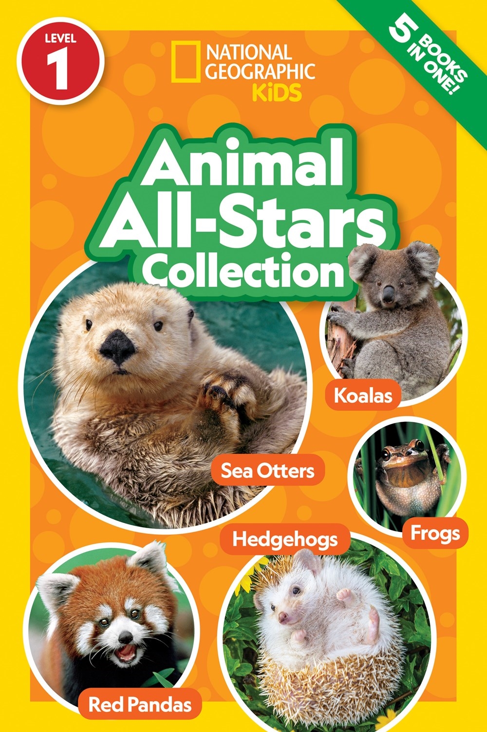 national-geographic-readers-animal-all-stars-collection-by-national