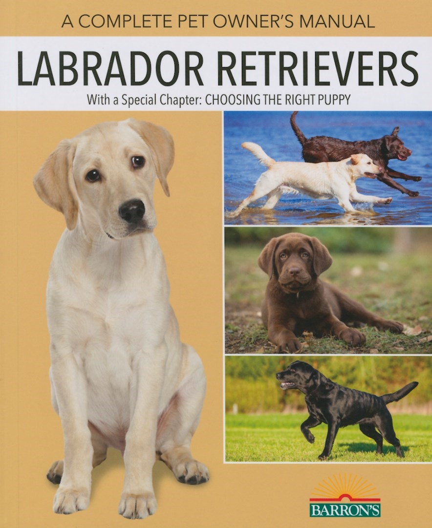 Labrador Retrievers by Joan Hustace Walker - Penguin Books New Zealand