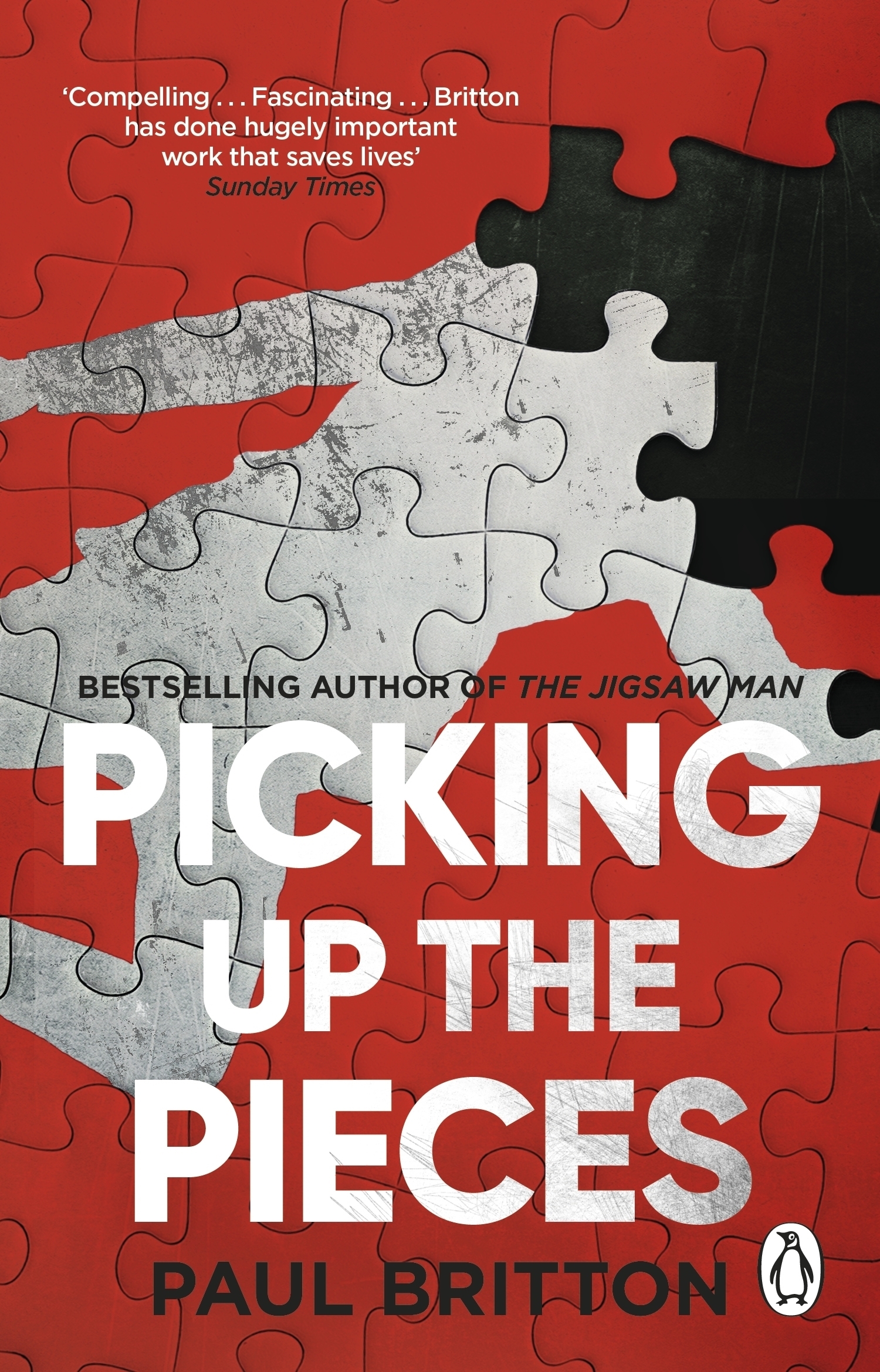 Picking Up The Pieces by Paul Britton  Penguin Books Australia