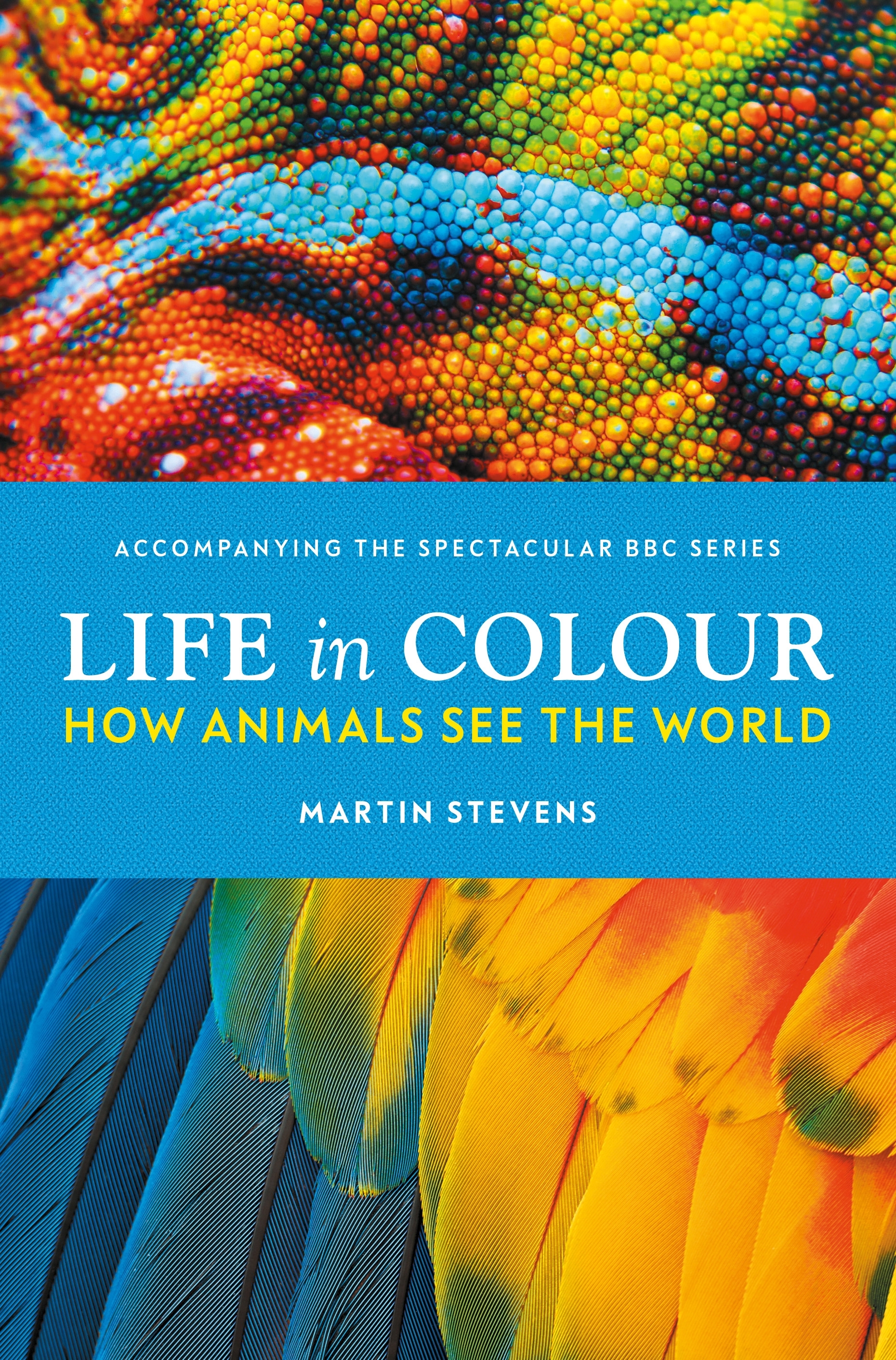 Life in Colour by Martin Stevens - Penguin Books Australia