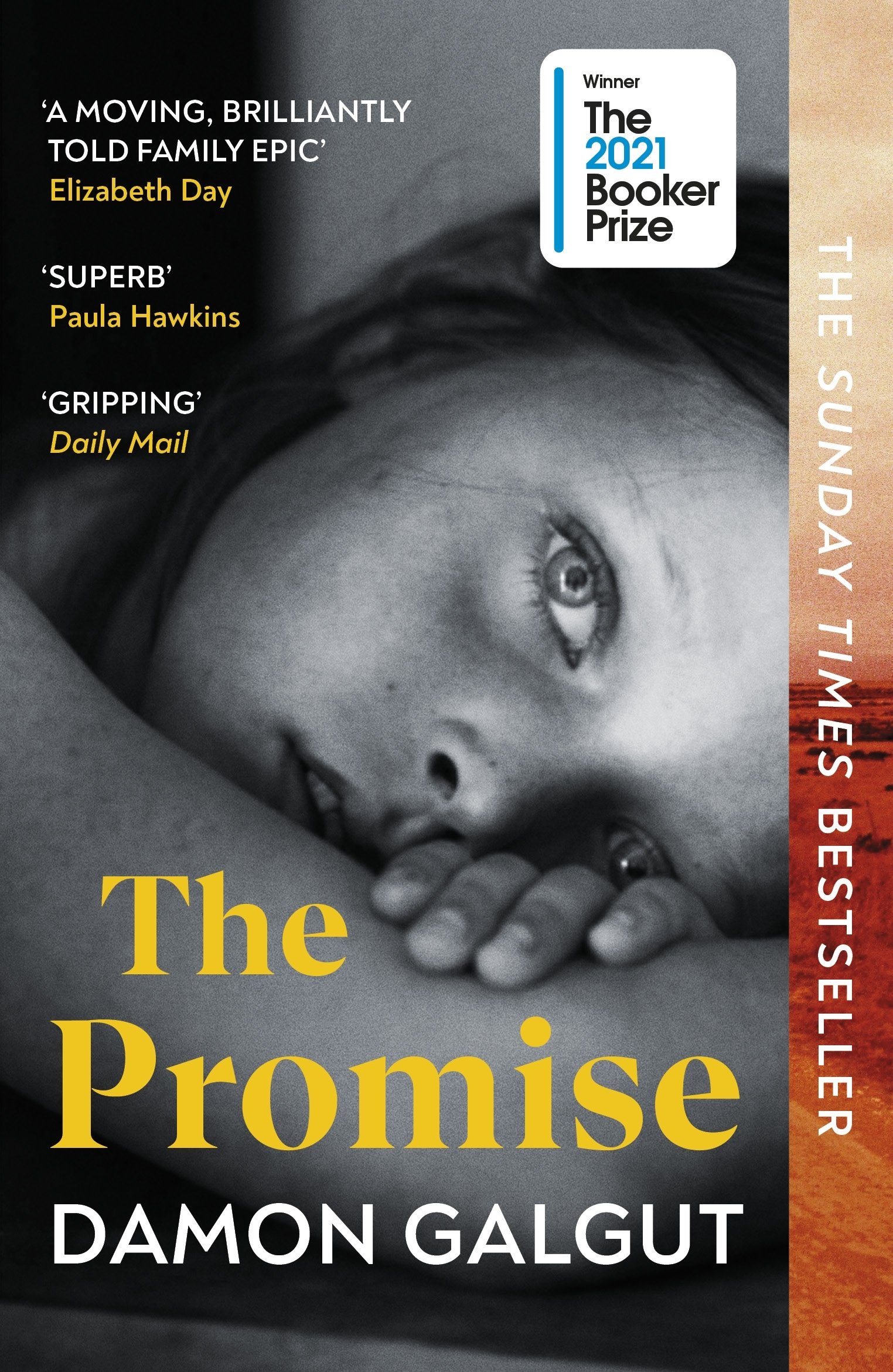 guardian book review the promise