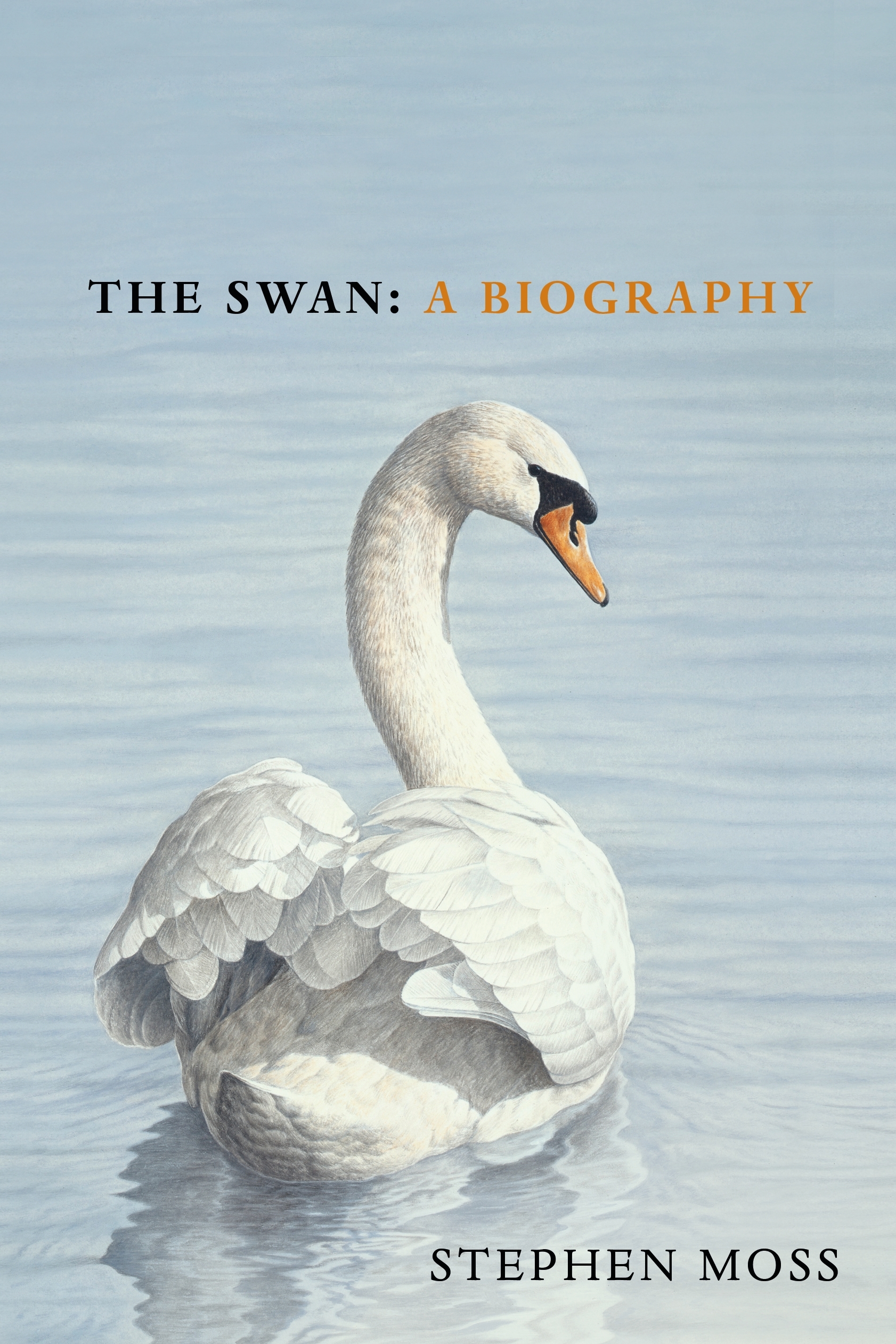 The Swan by Stephen Moss - Penguin Books Australia