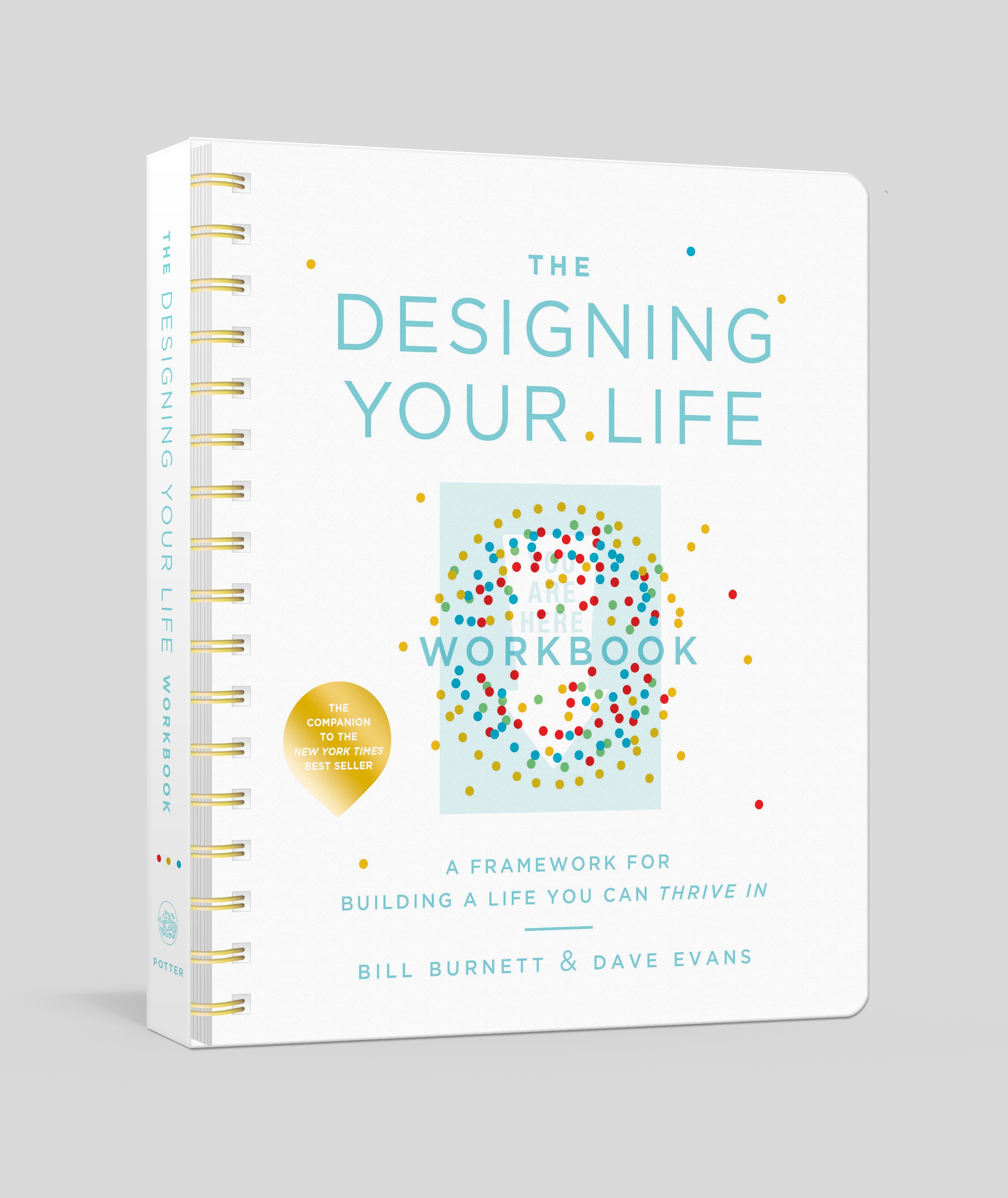 book review designing your life