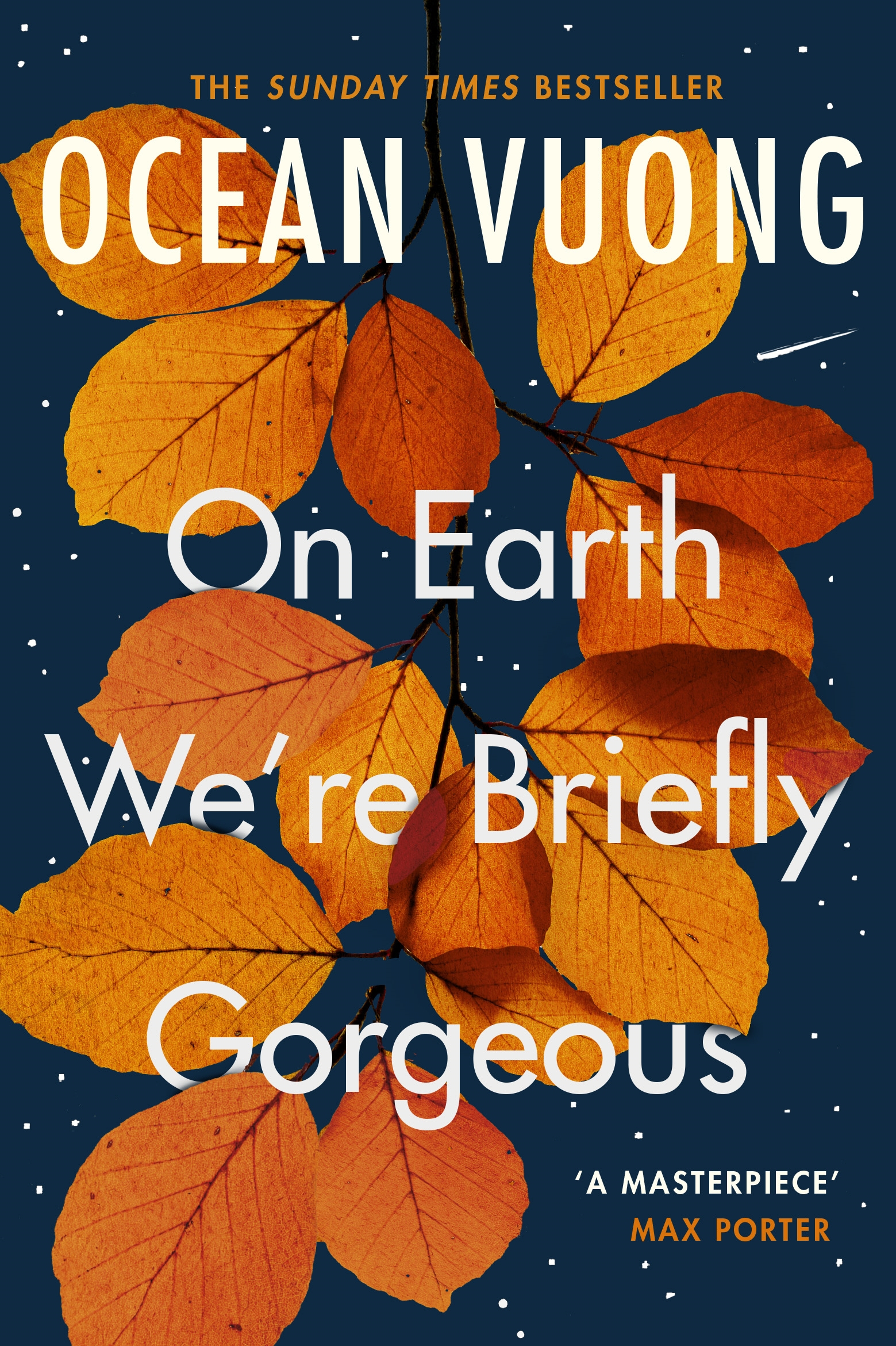 On Earth We're Briefly Gorgeous by Ocean Vuong - Penguin Books Australia