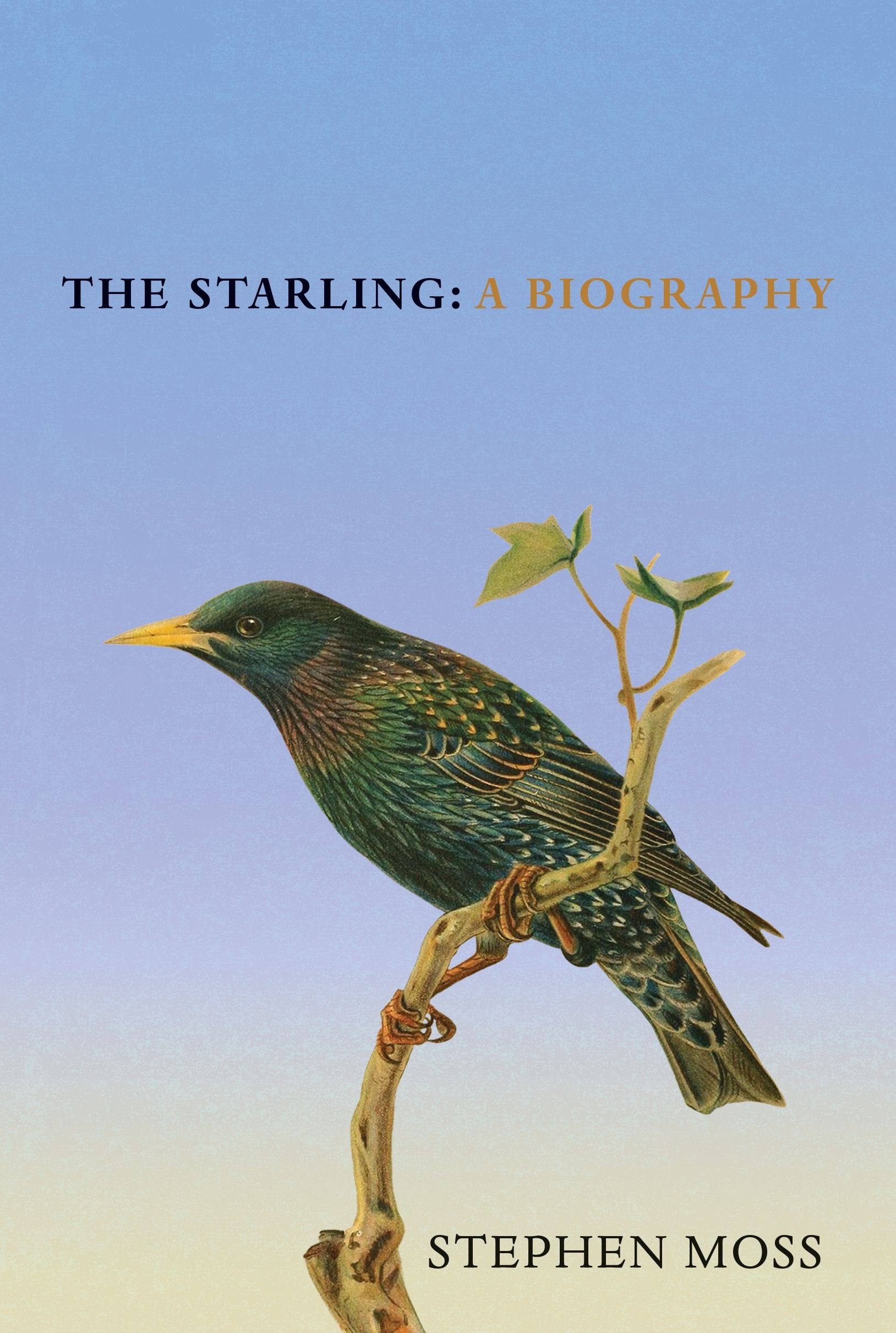 The Starling by Stephen Moss - Penguin Books Australia