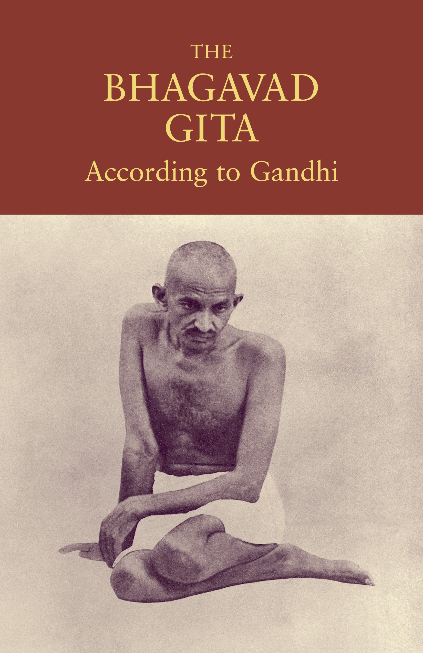 book review on mahatma gandhi