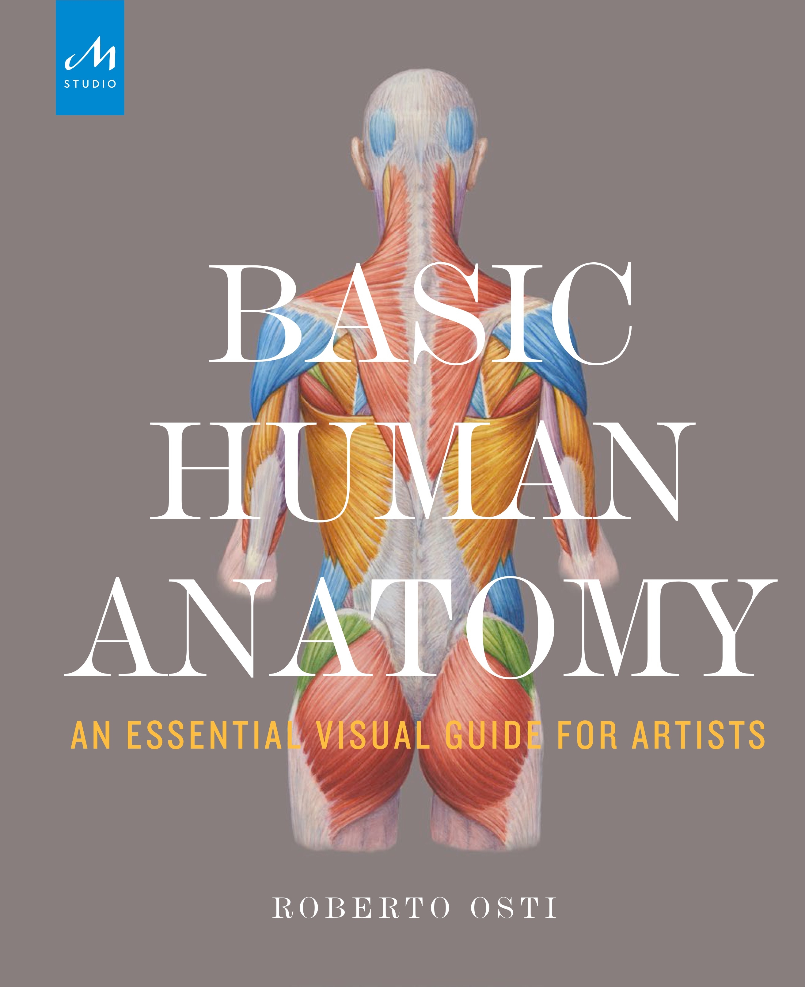 Basic Human Anatomy By Roberto Osti Penguin Books Australia