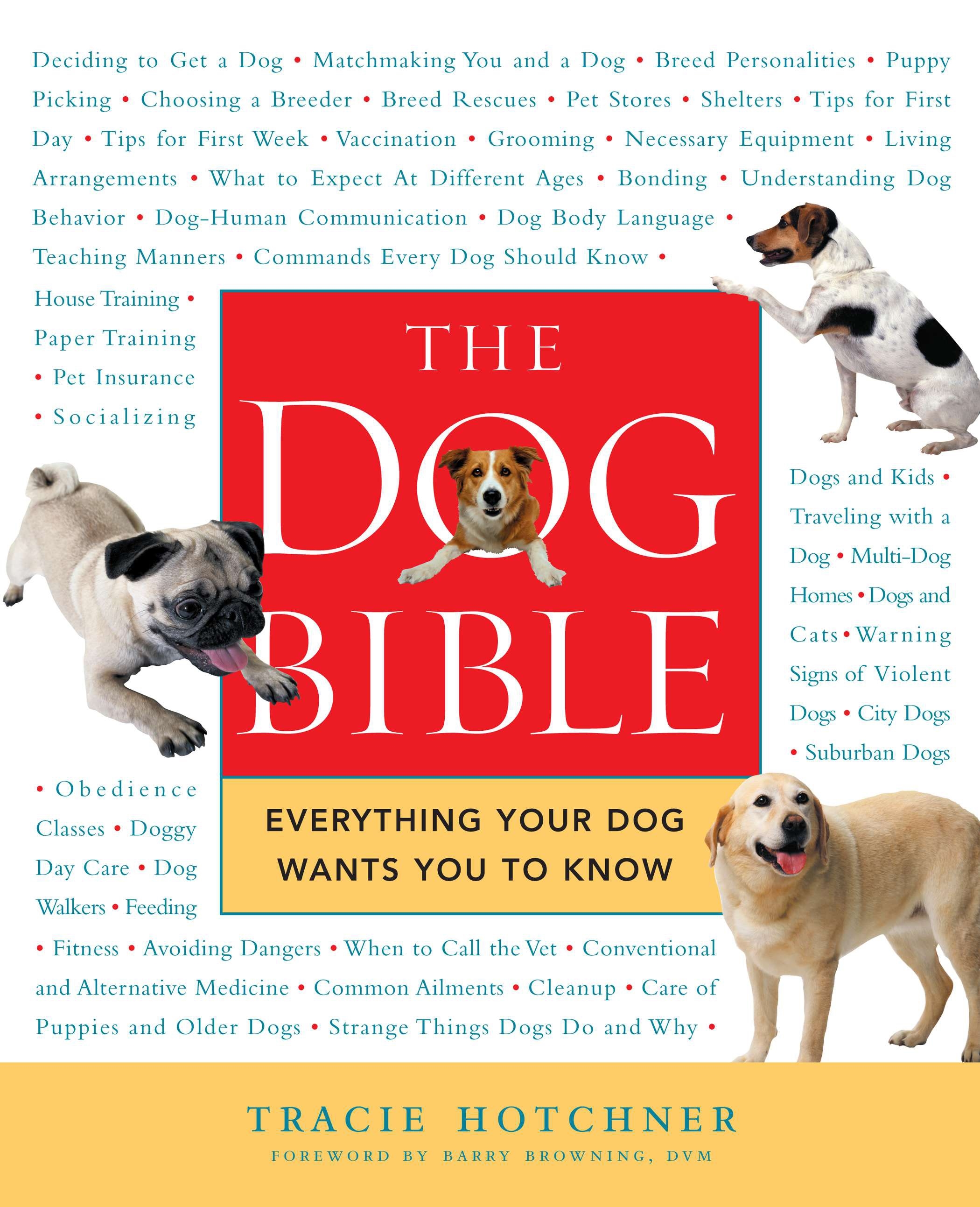 what-does-it-say-about-dogs-in-the-bible