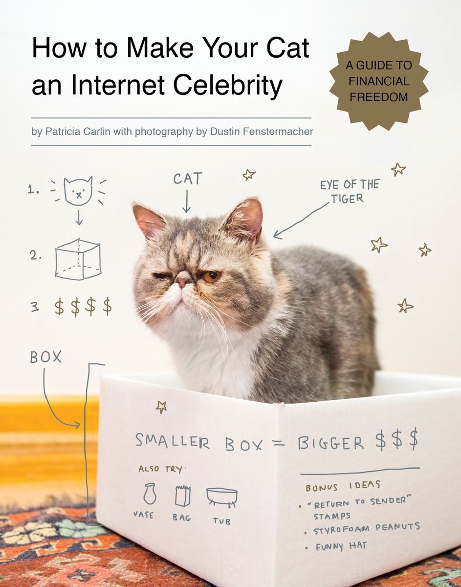 How To Make Your Cat An Internet Celebrity By Patricia Carlin Penguin Books Australia