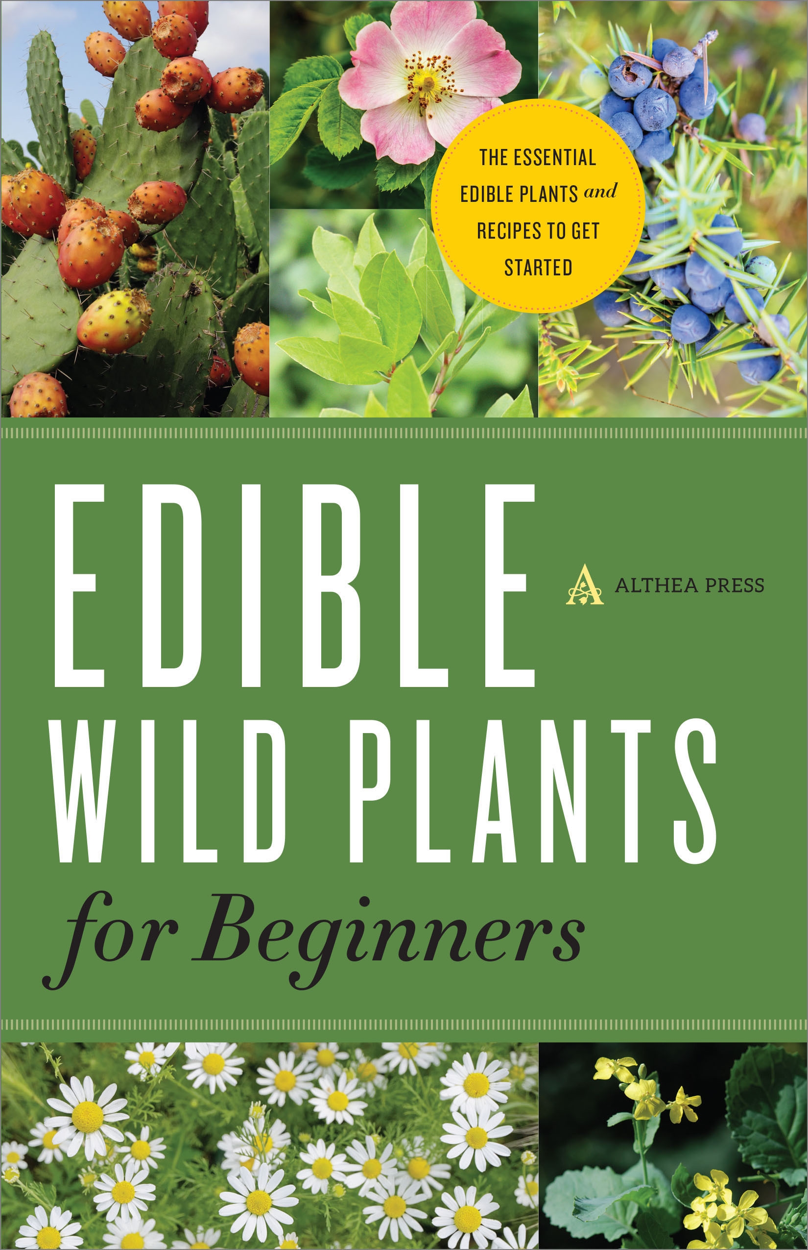 Edible Wild Plants for Beginners by Althea Press - Penguin Books Australia