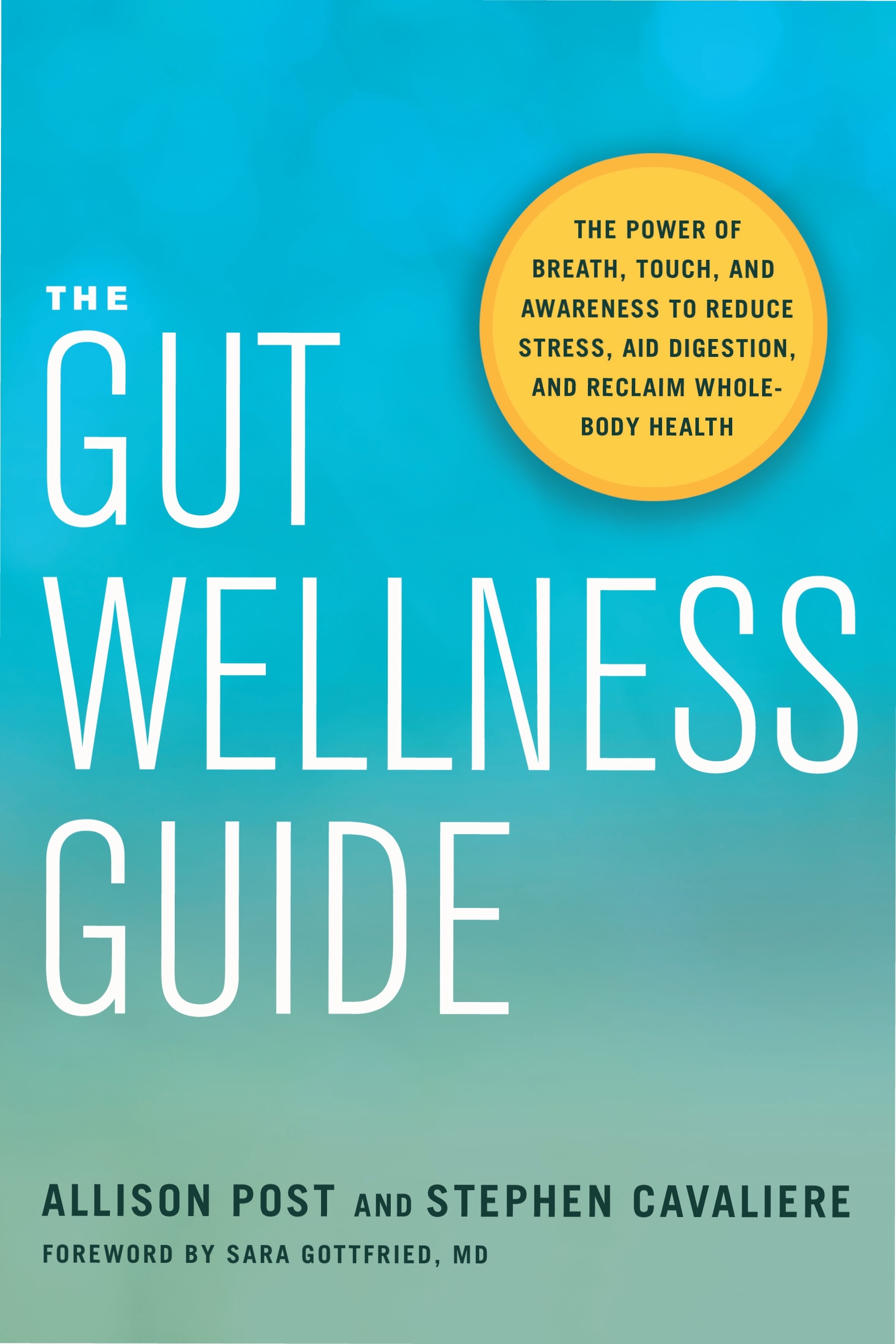 The Gut Wellness Guide by Allison Post - Penguin Books New Zealand