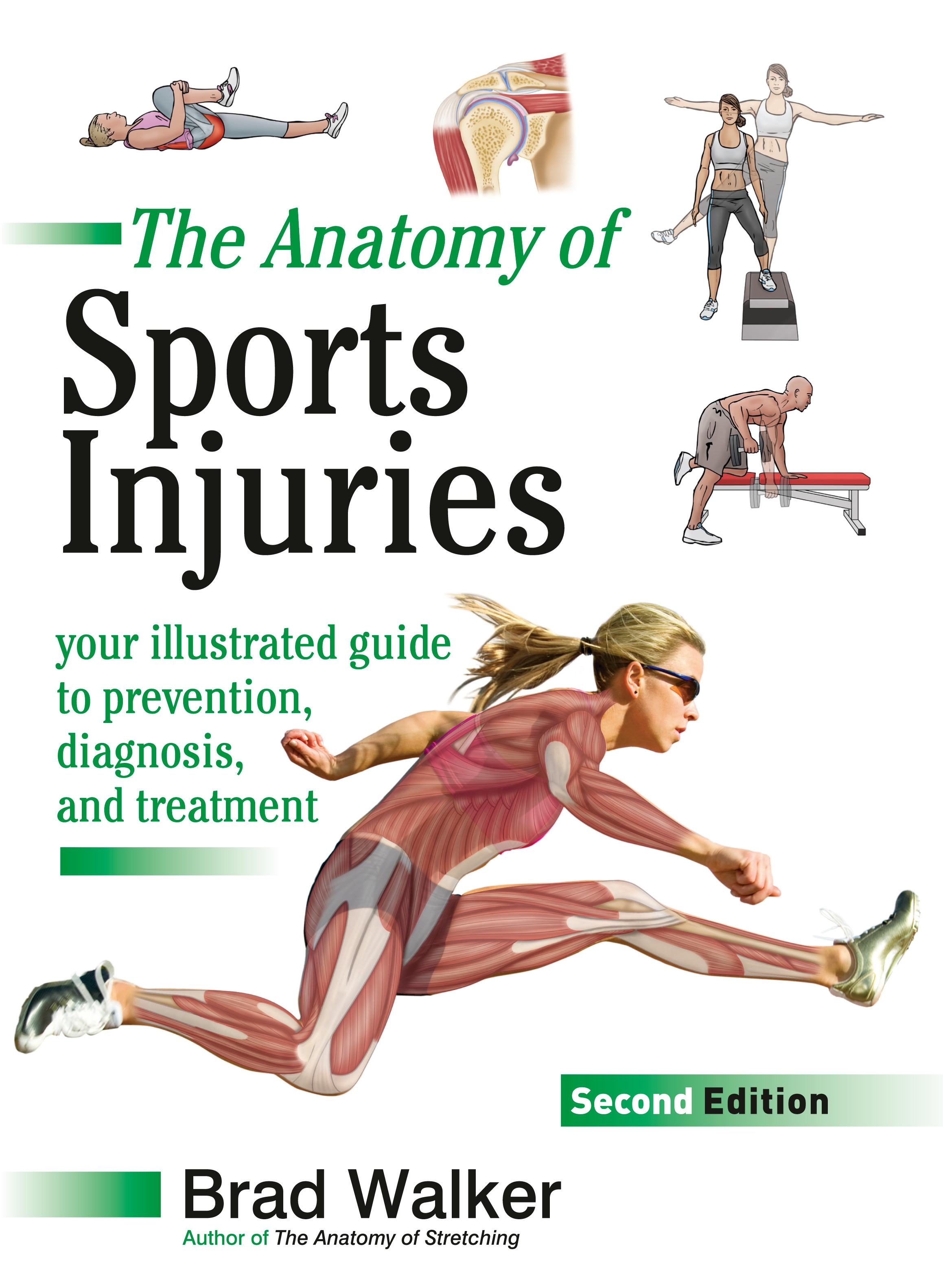 sports injury research topics