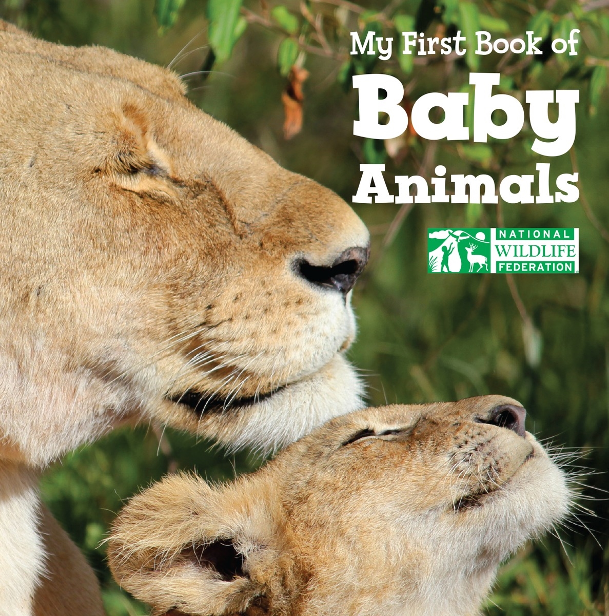 My First Book Of Baby Animals (National Wildlife Federation) By ...