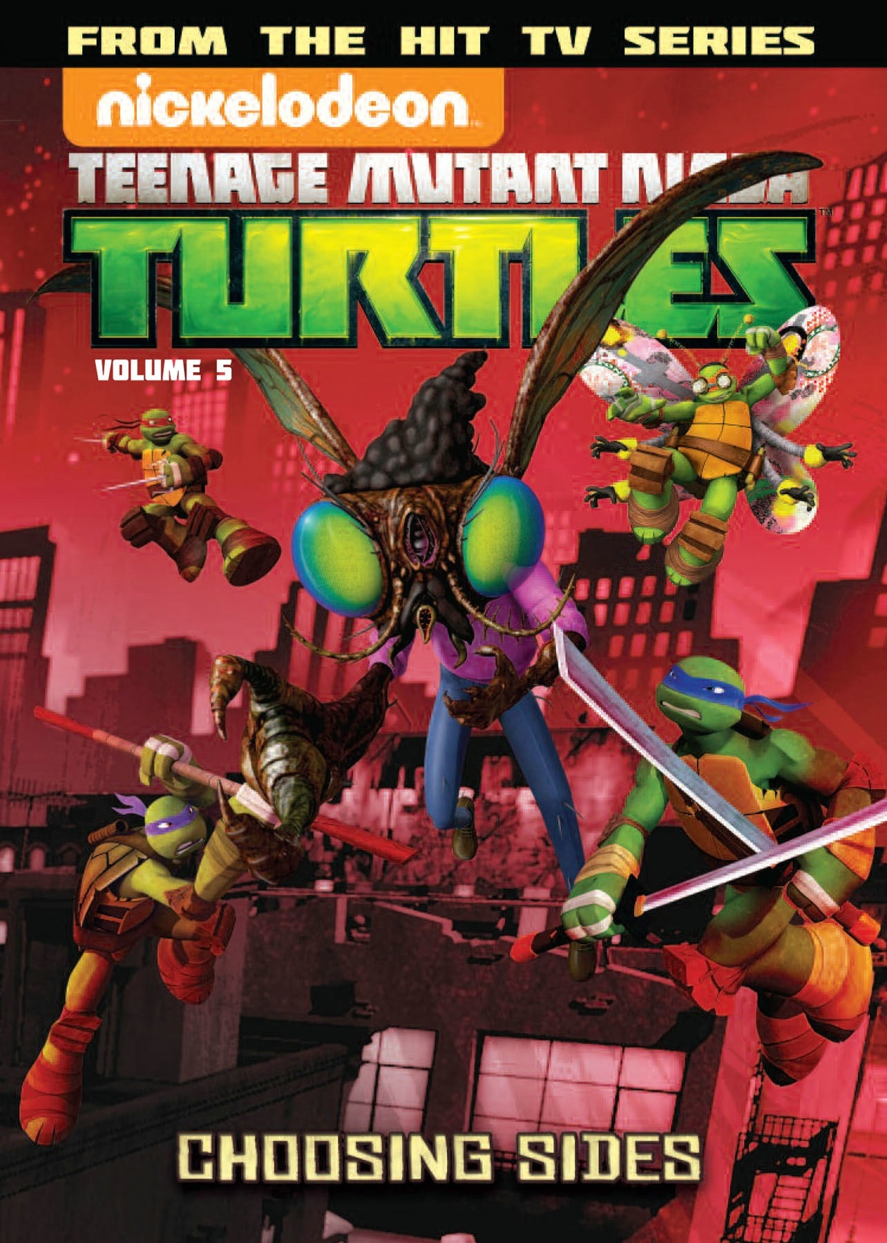 Teenage Mutant Ninja Turtles Animated Volume 5 Choosing Sides By