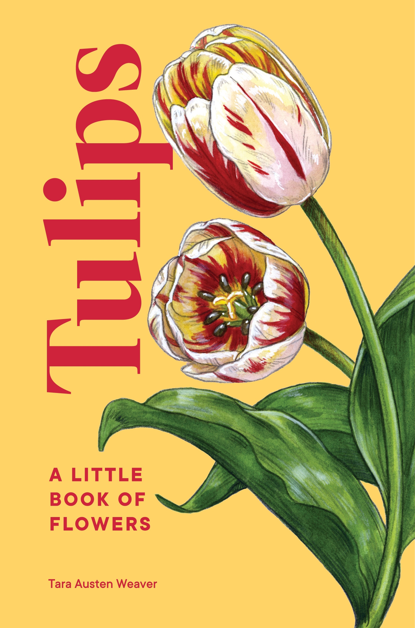 Tulips by TARA AUSTEN WEAVER - Penguin Books New Zealand