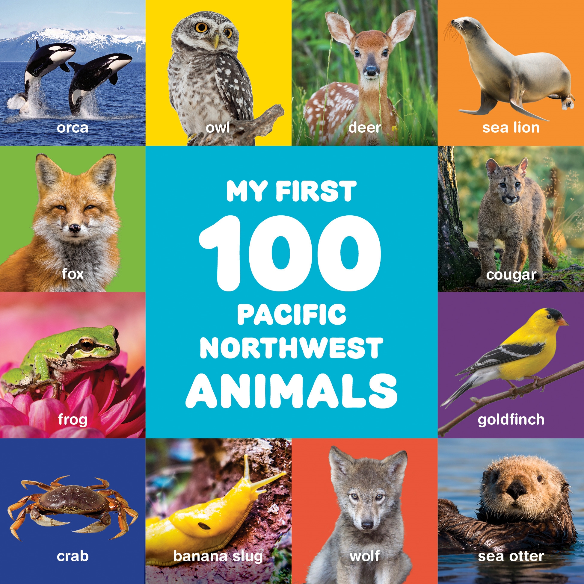 My First 100 Pacific Northwest Animals by Little Bigfoot - Penguin ...