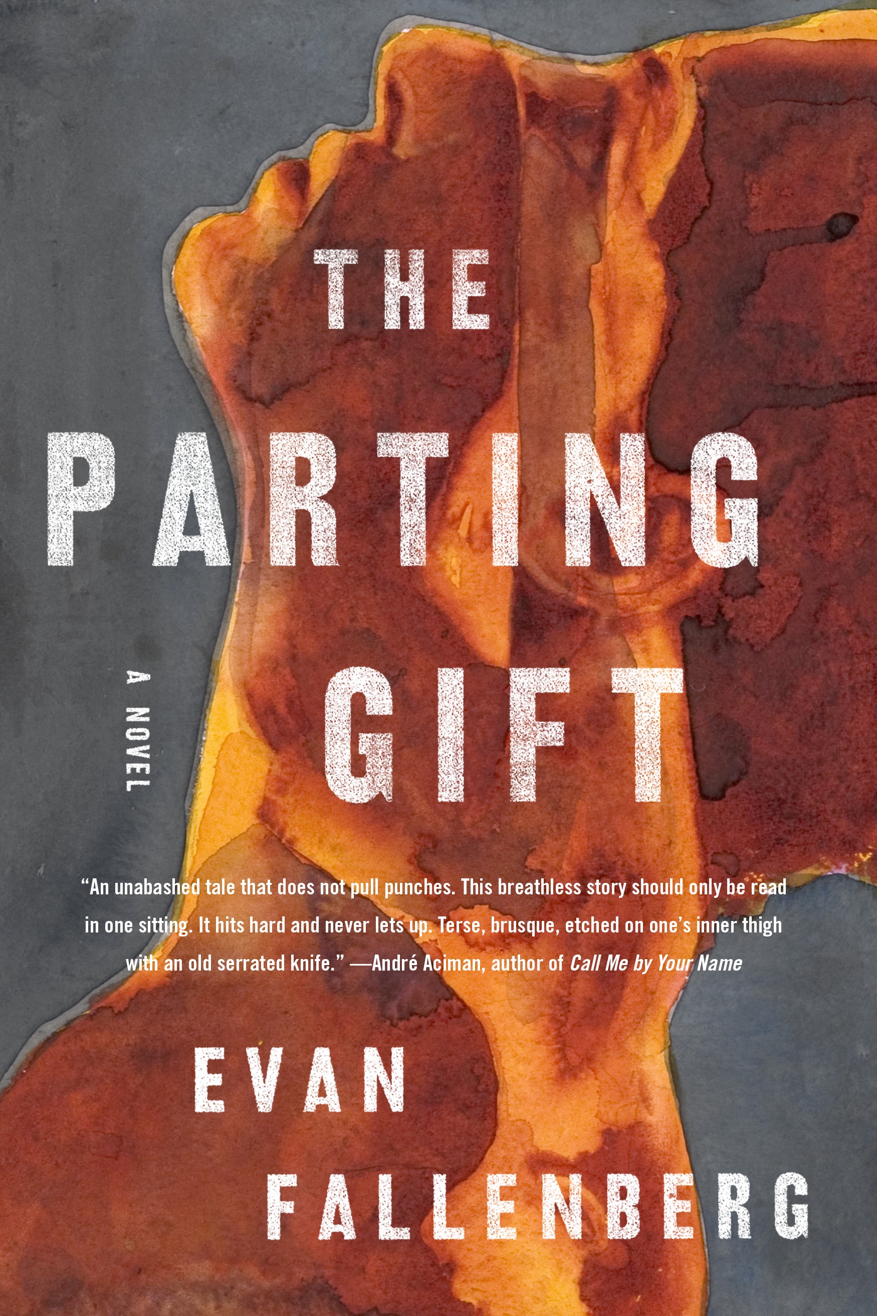 the-parting-gift-by-evan-fallenberg-penguin-books-new-zealand