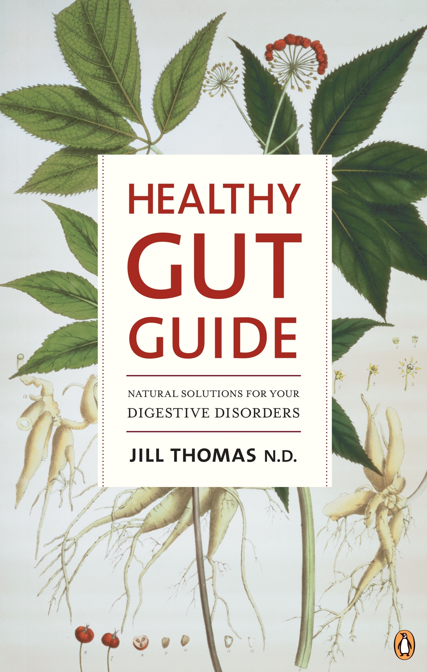 Healthy Gut Guide by Jill Thomas Penguin Books Australia