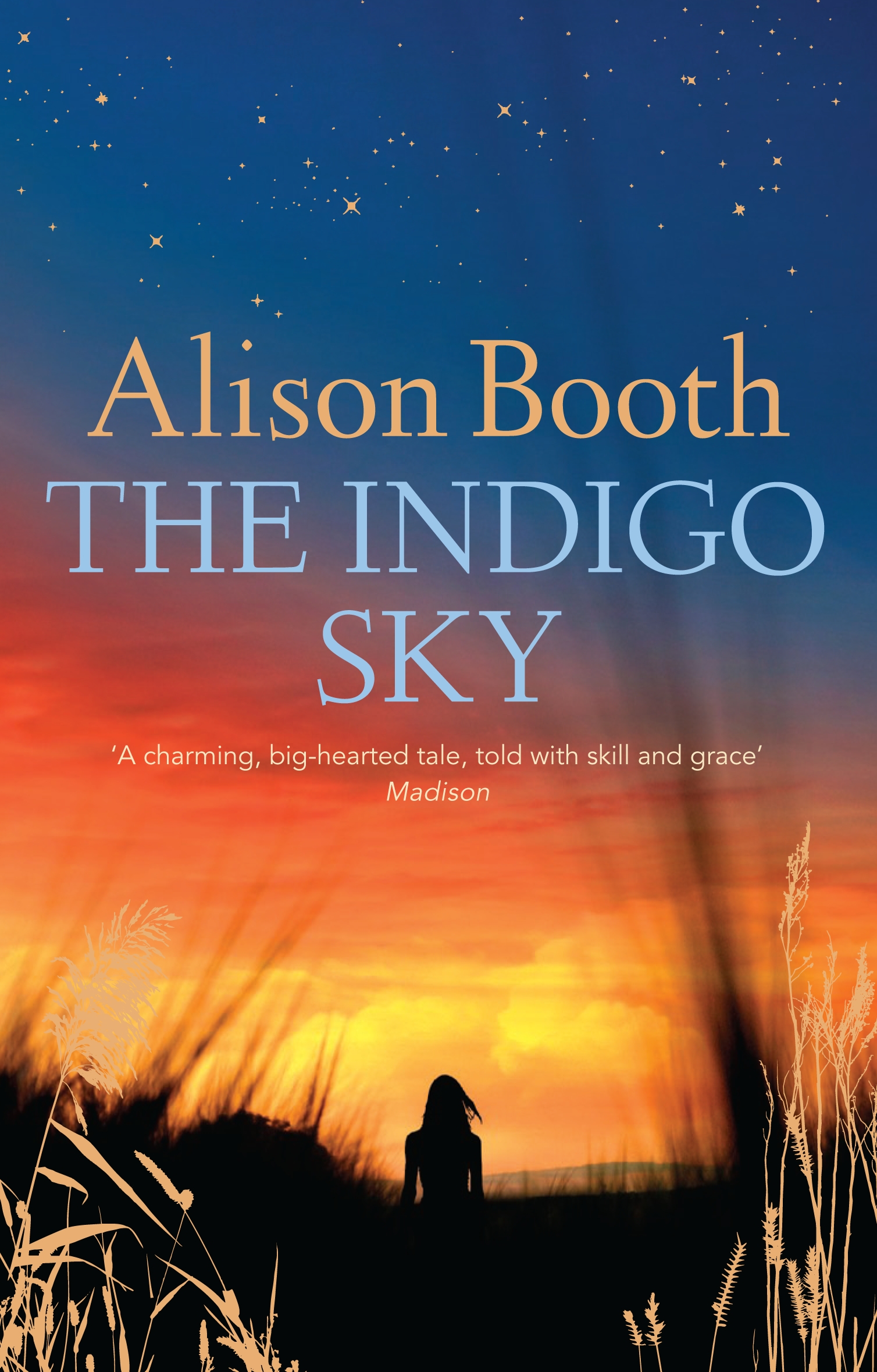 The Indigo Sky by Alison Booth - Penguin Books New Zealand