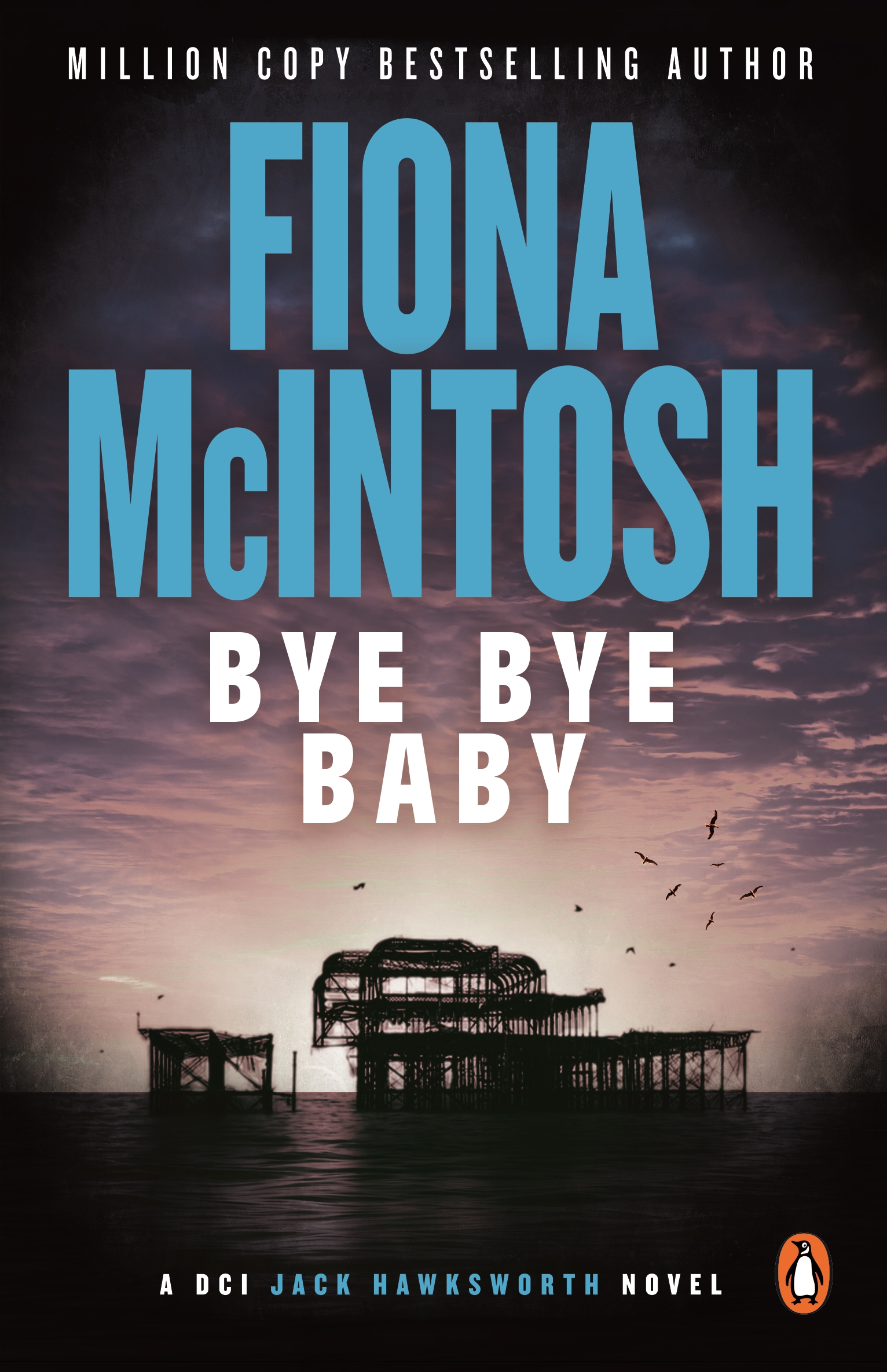 Bye Bye Baby by Fiona McIntosh 