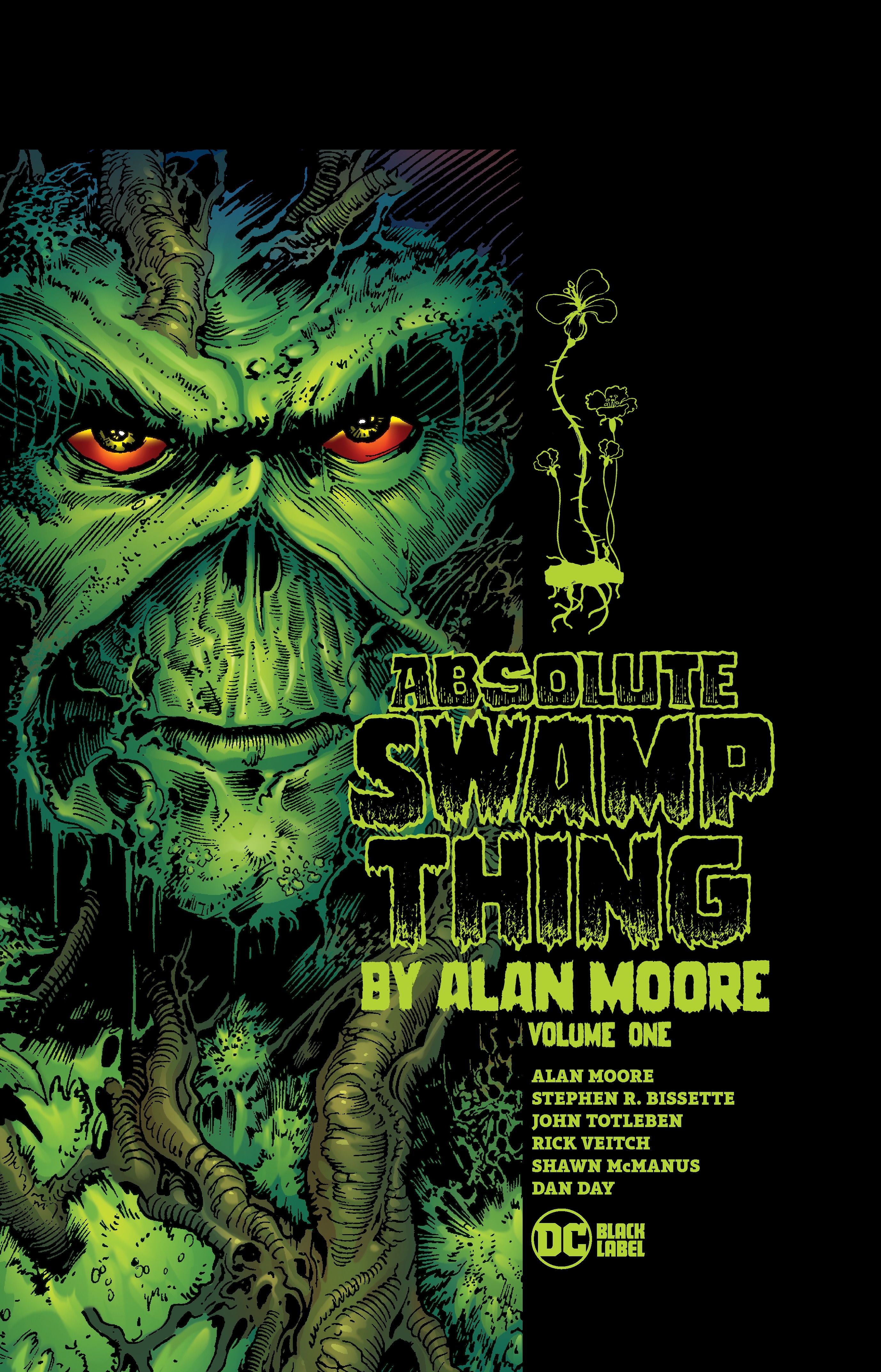swamp thing book