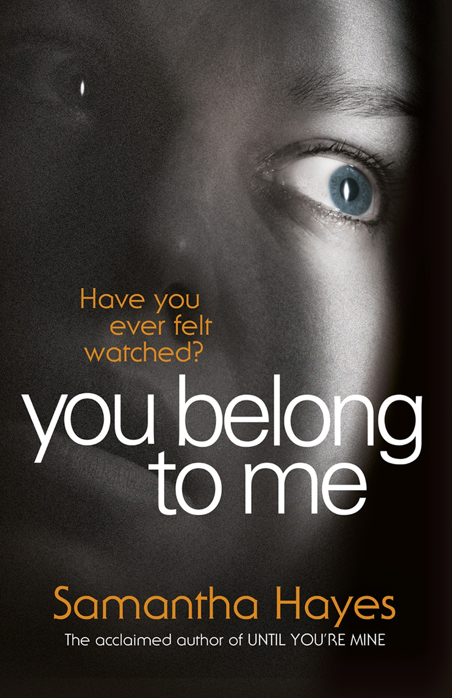 You Belong To Me By Samantha Hayes Penguin Books Australia