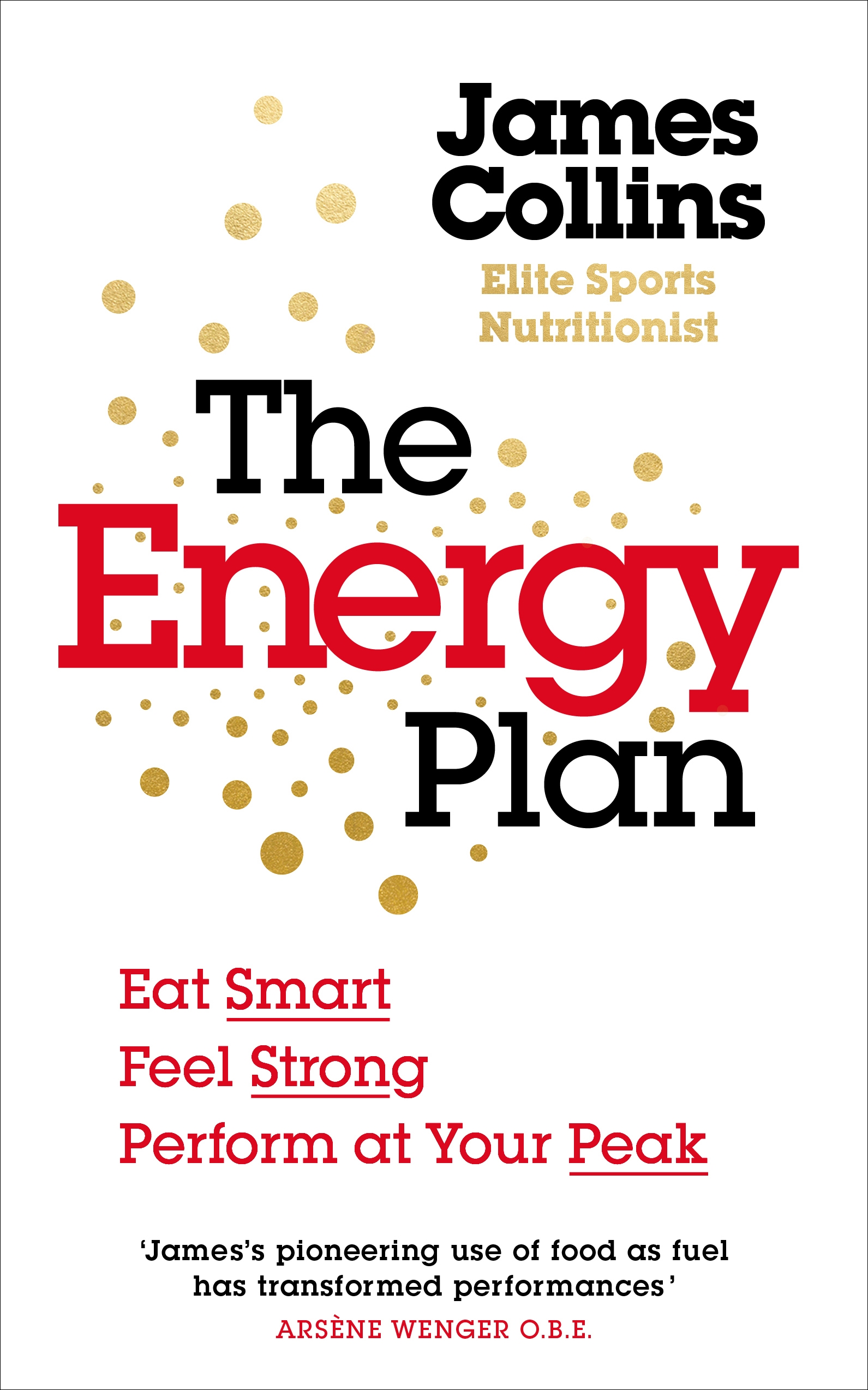 The Energy Plan by James Collins - Penguin Books Australia