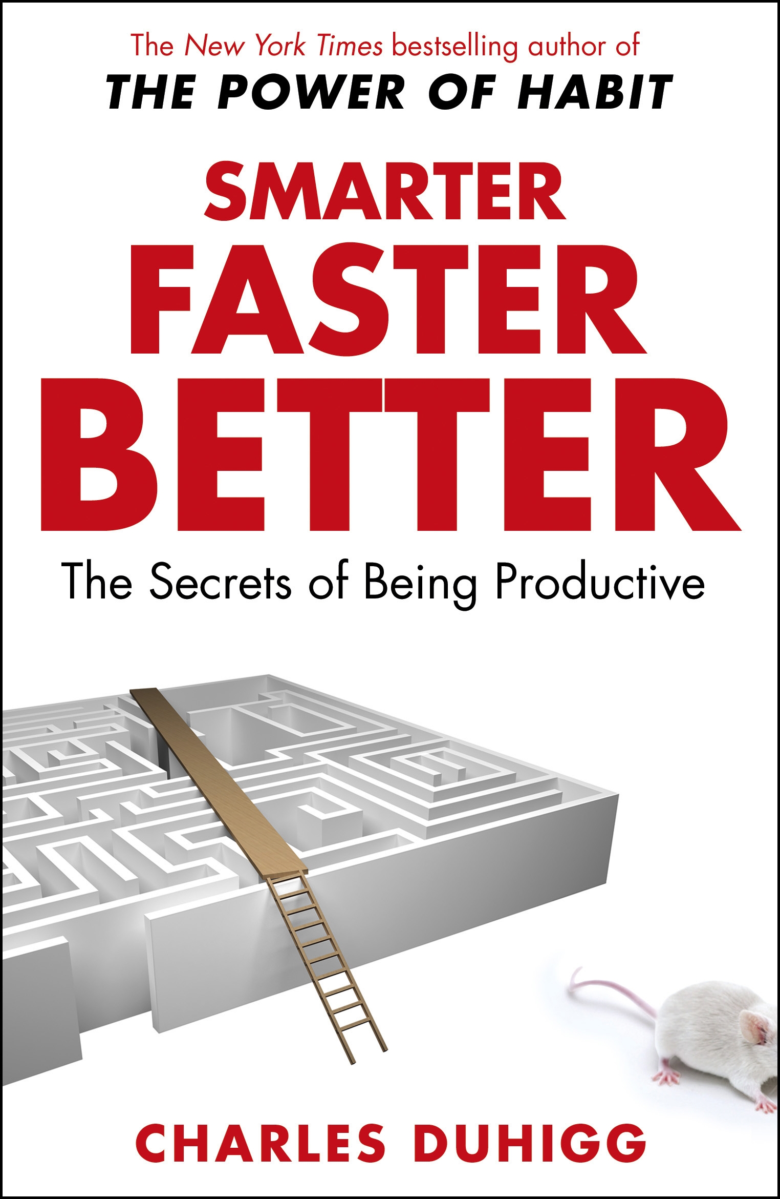 smarter faster better the secrets of being productive