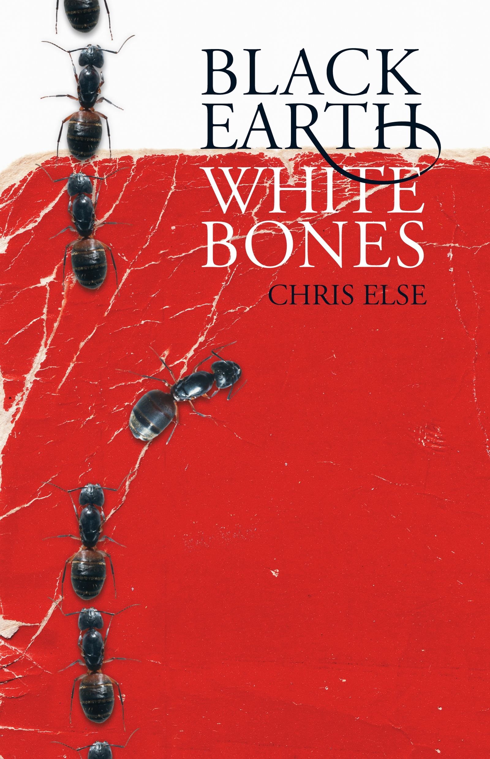 Image result for black earth white bones chris else