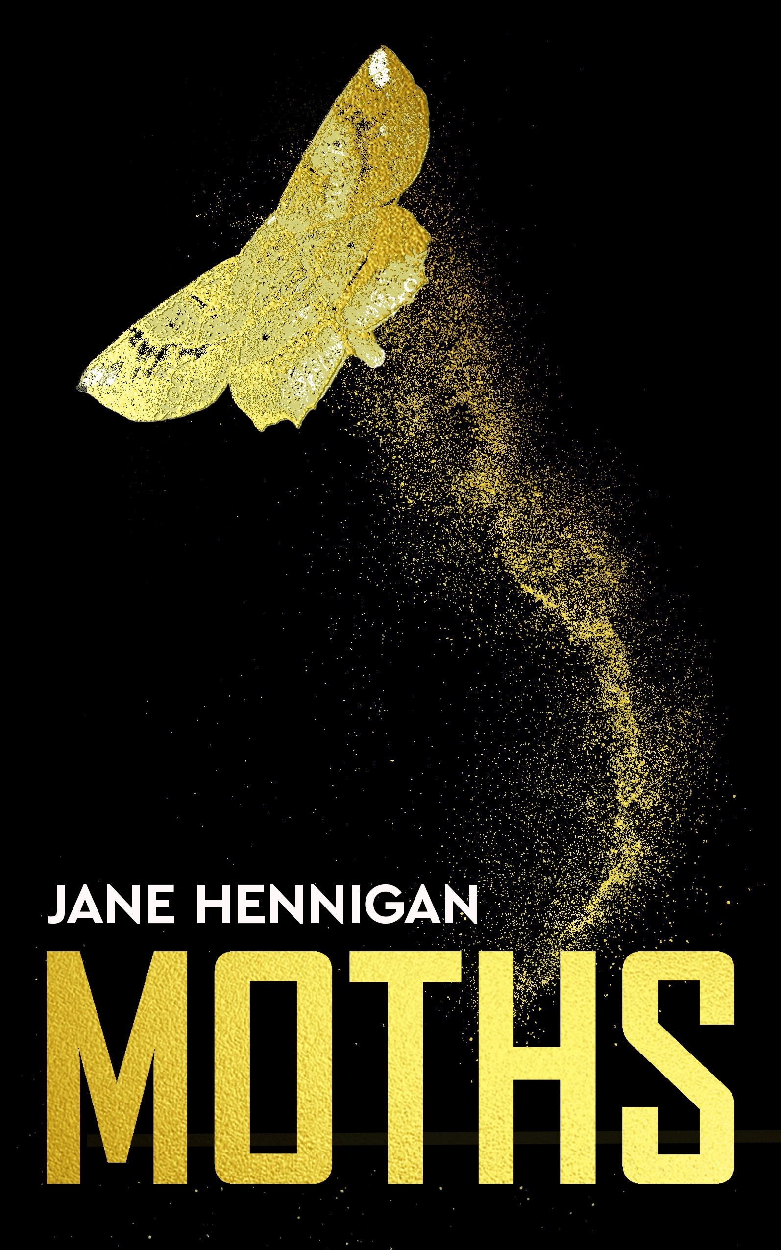 Moths by Jane Hennigan - Penguin Books New Zealand