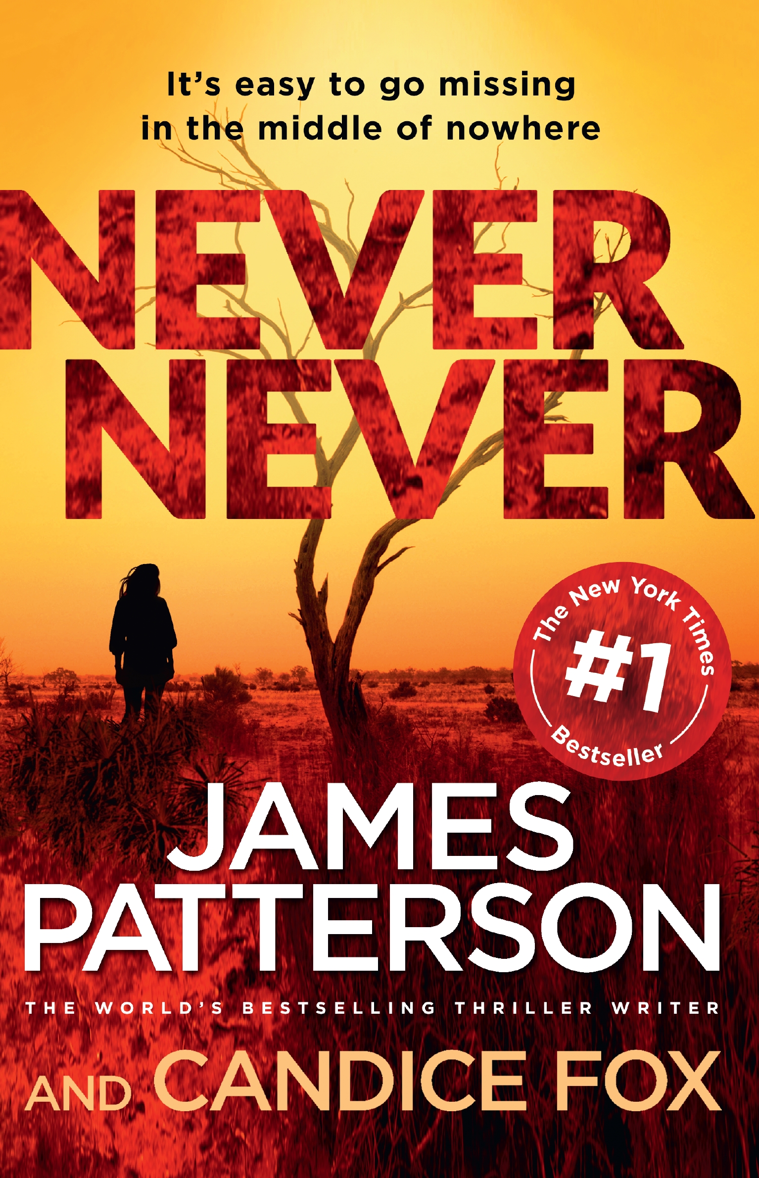 James Patterson New Book Releases 2024 - Anica Brandie