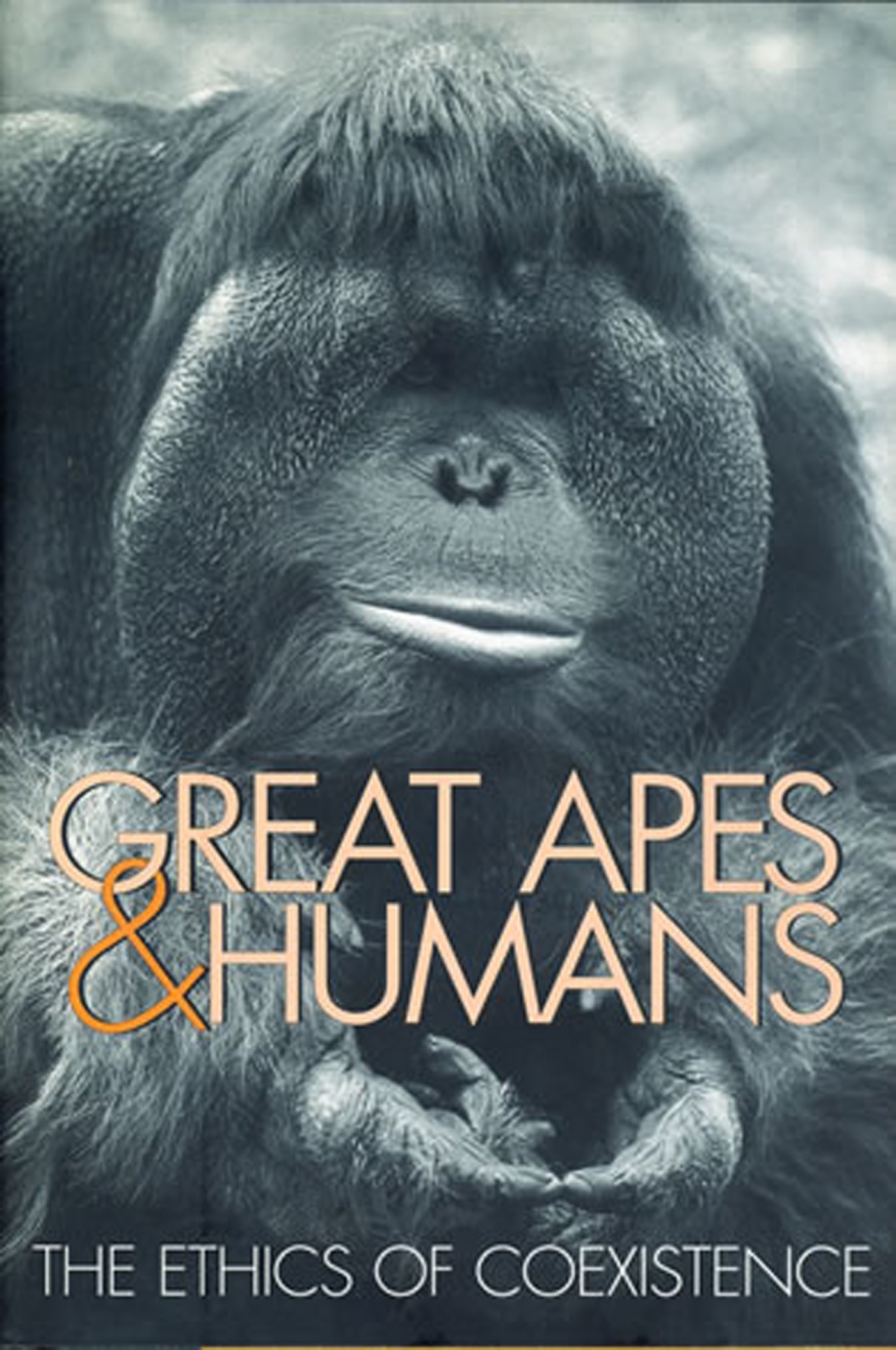 Great Apes and Humans by Benjamin B Beck - Penguin Books Australia