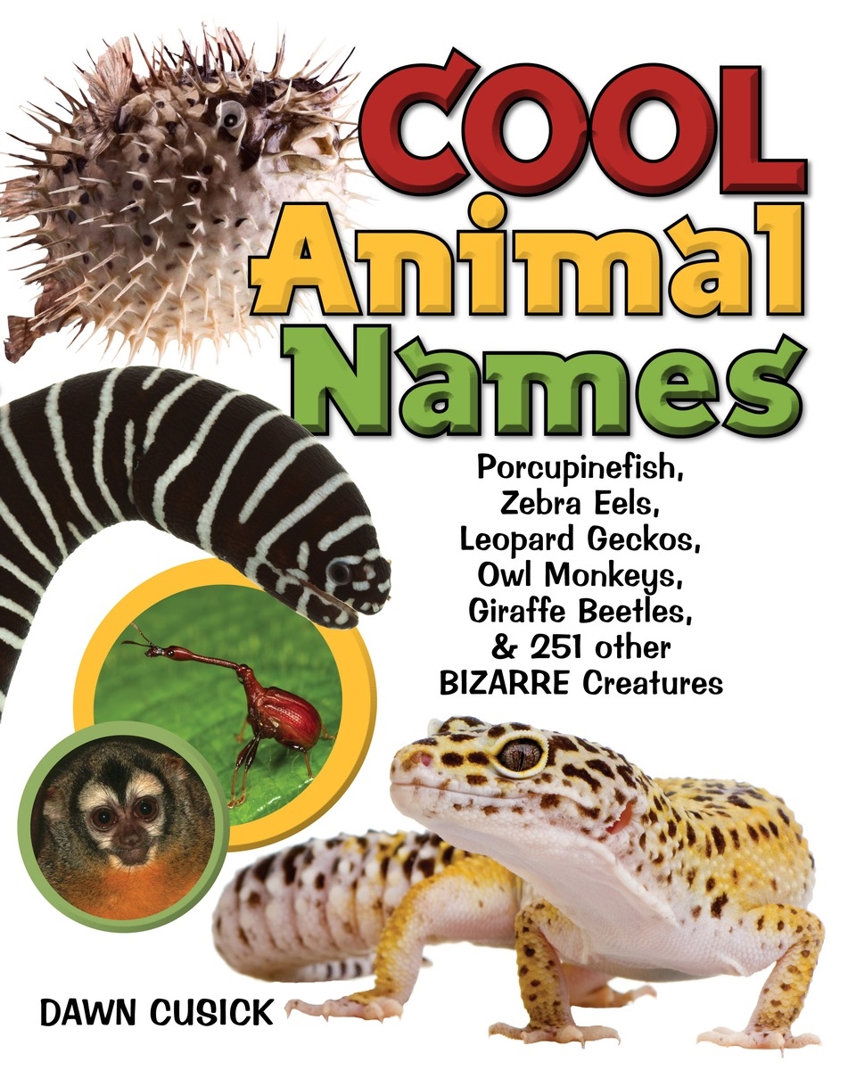 Cool Animal Names By Dawn Cusick Penguin Books Australia