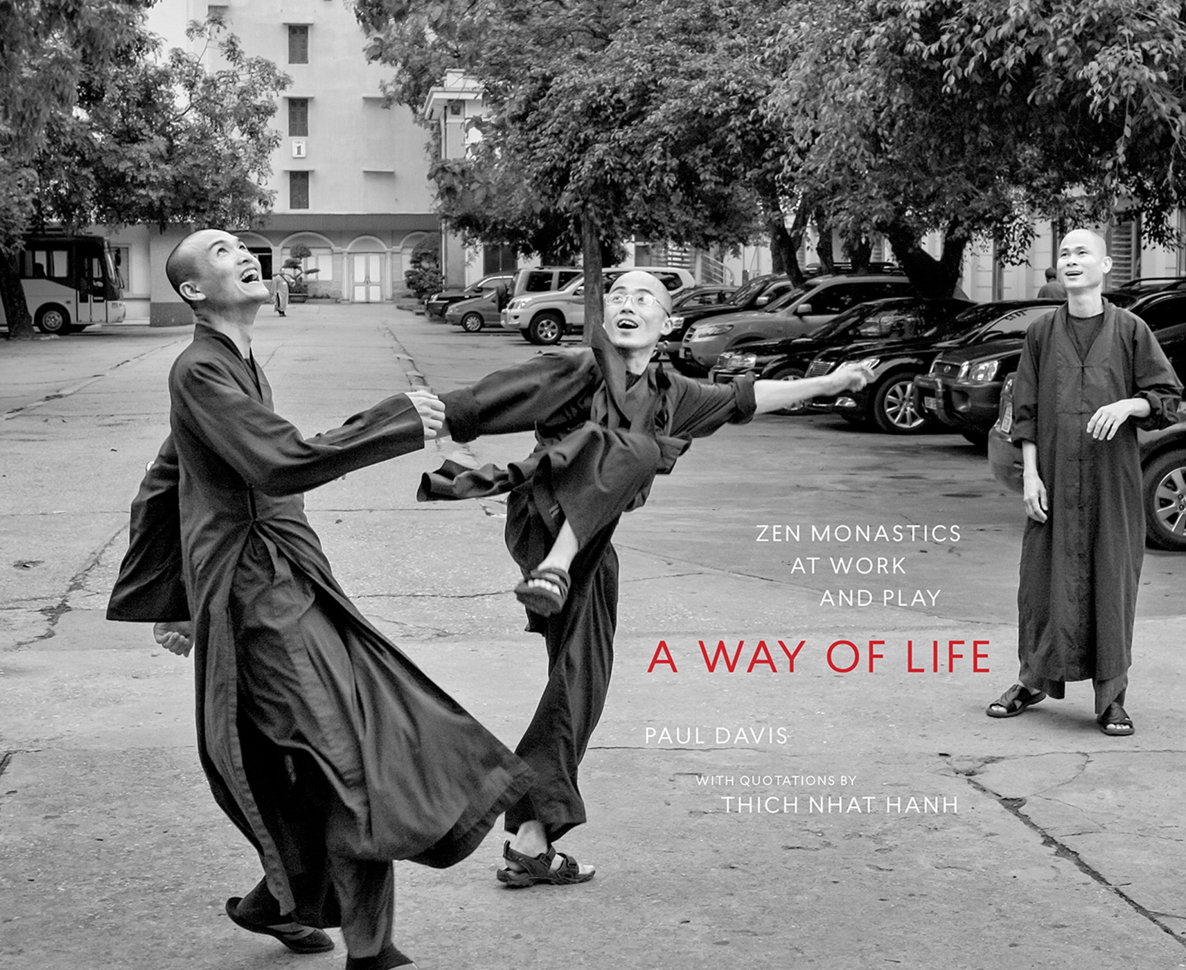 a-way-of-life-by-thich-nhat-hanh-penguin-books-new-zealand