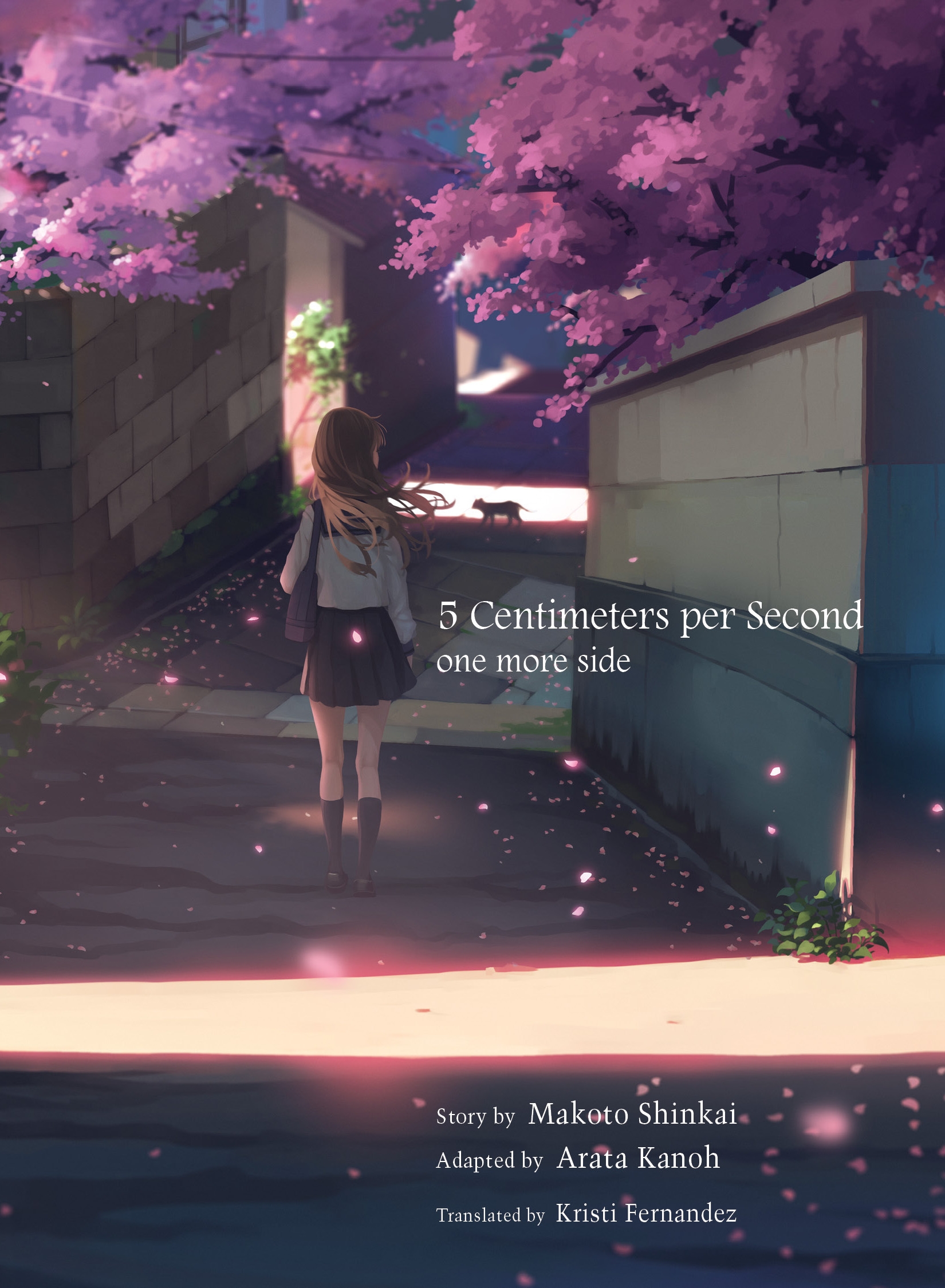JAPAN manga LOT: 5 Centimeters Per Second vol.1+2 Complete Set (Makoto  Shinkai) | eBay