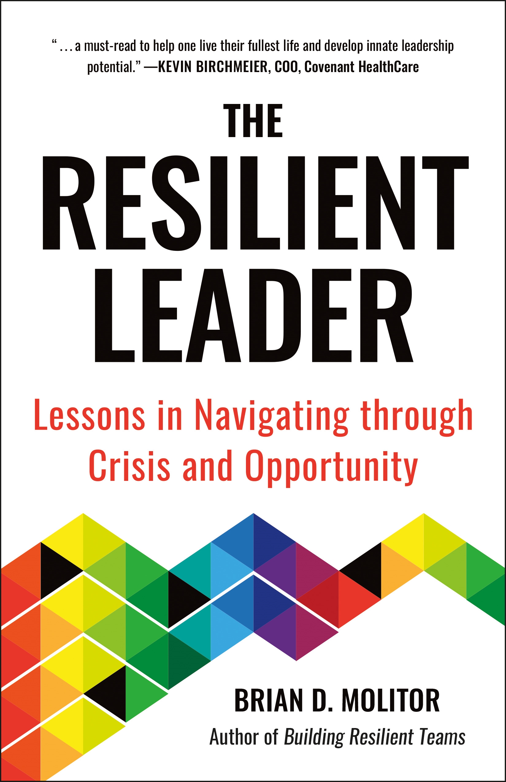 The Resilient Leader By Brian Molitor Penguin Books Australia