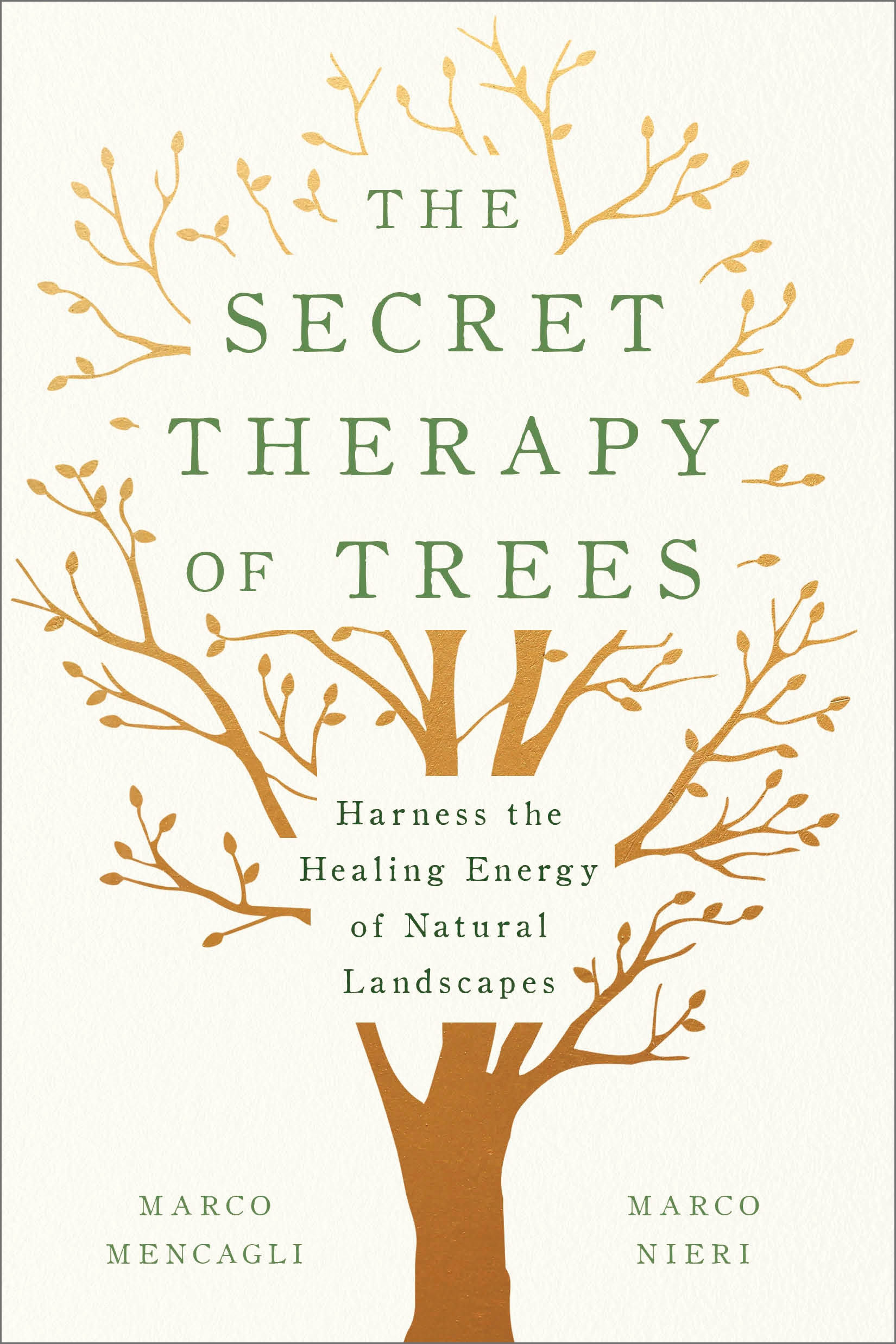 Secret Therapy Leaks: A Look At The Legal Ramifications