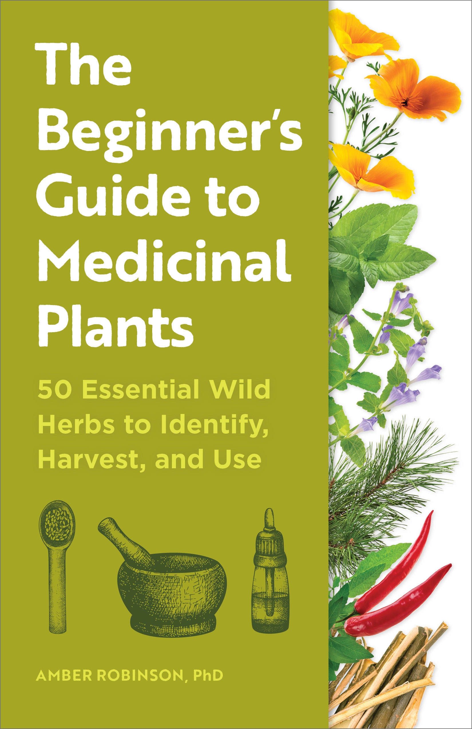 The Beginner's Guide to Medicinal Plants by Amber Robinson PhD ...