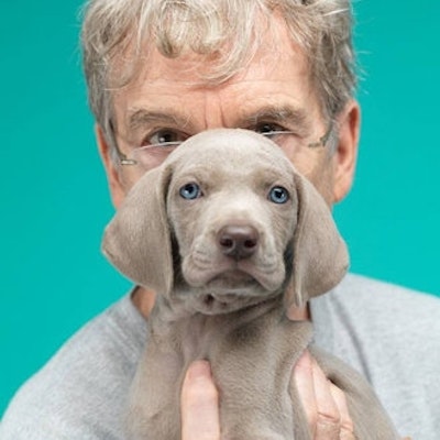 portrait photo of William Wegman