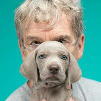 portrait photo of William Wegman
