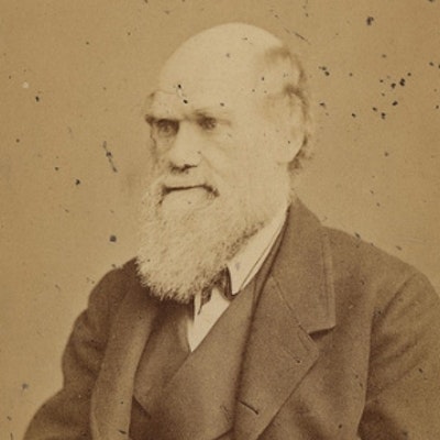 portrait photo of Charles Darwin