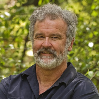 portrait photo of Harry Dillon